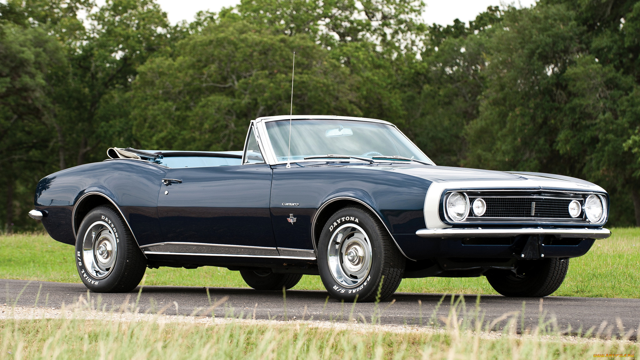 chevrolet, camaro, автомобили, gm, division, сша