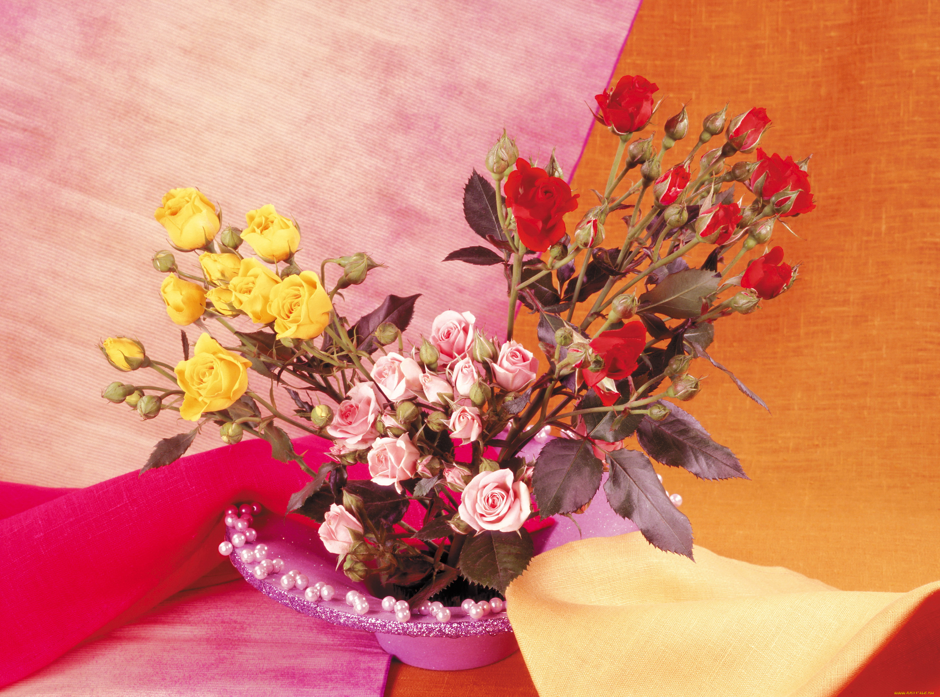 цветы, розы, ваза