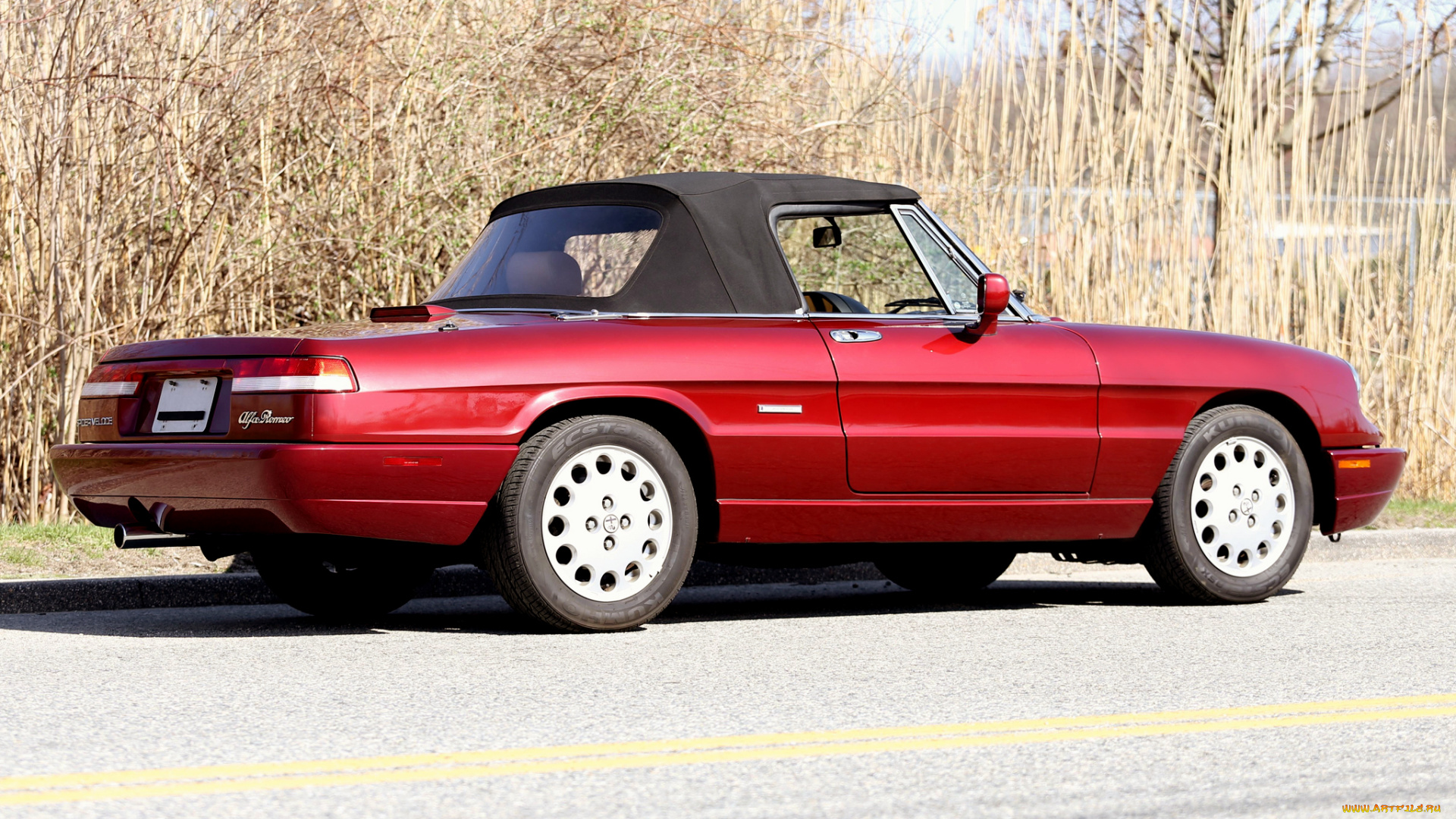 автомобили, alfa, romeo, красный, 115, us-spec, veloce, spider, alfa, romeo