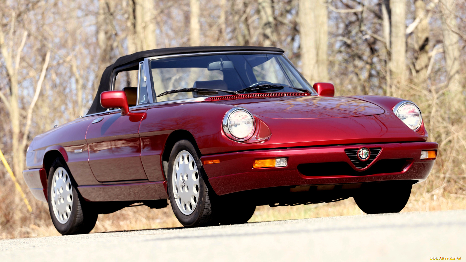 автомобили, alfa, romeo, us-spec, красный, 115, veloce, spider, alfa, romeo