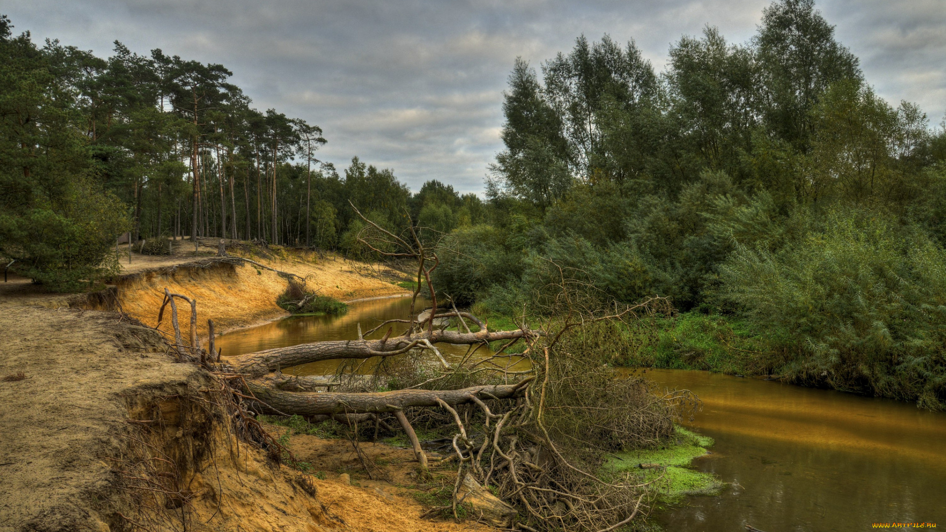 природа, реки, озера, обрыв, река, лес