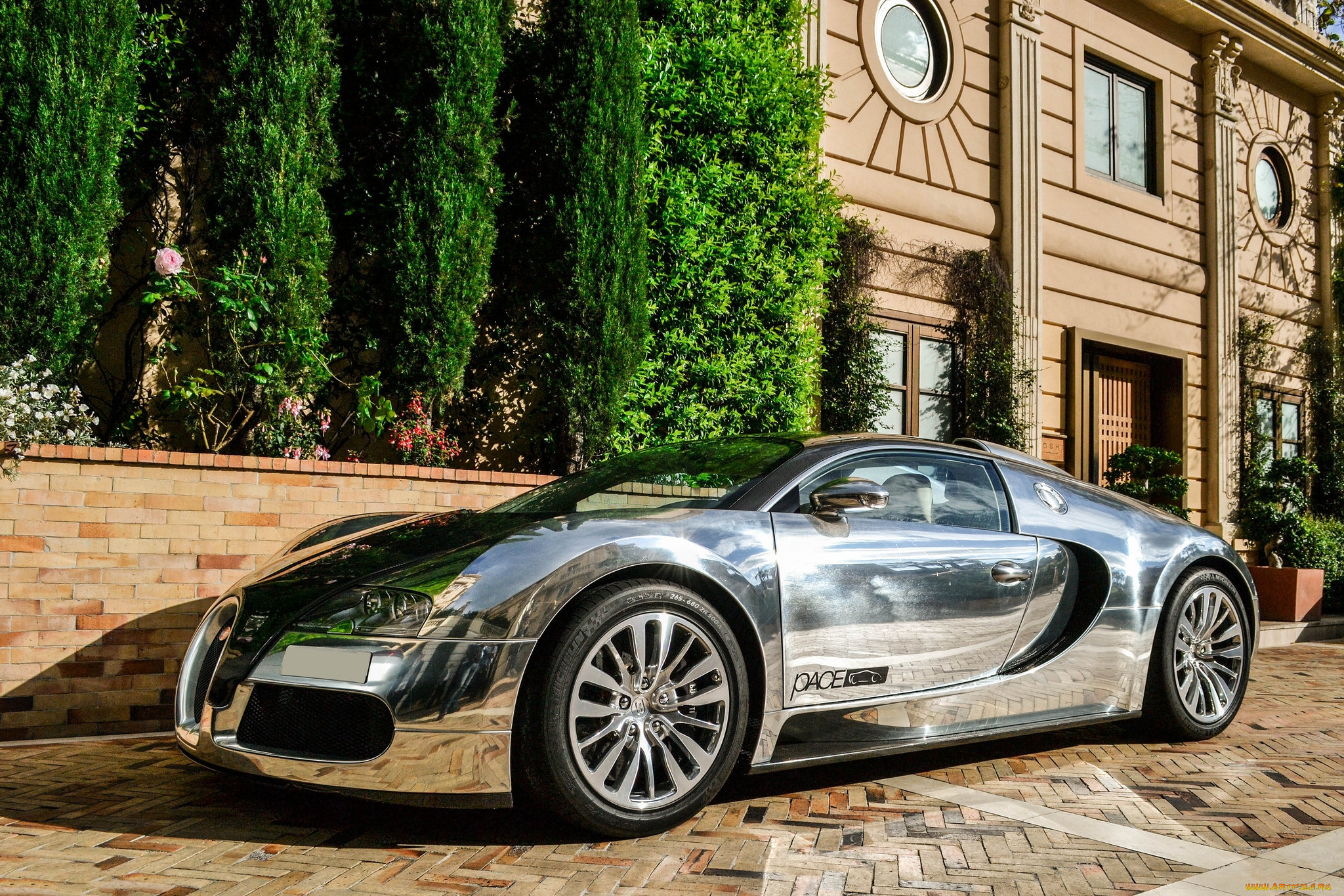 bugatti, veyron, pur, sang, автомобили, bugatti, франция, класс-люкс, спортивные, automobiles, a, s