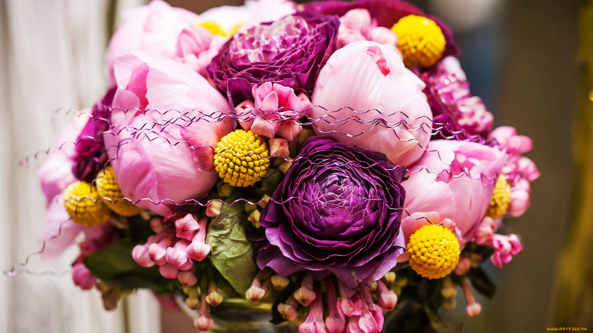 цветы, букеты, , композиции, пионы