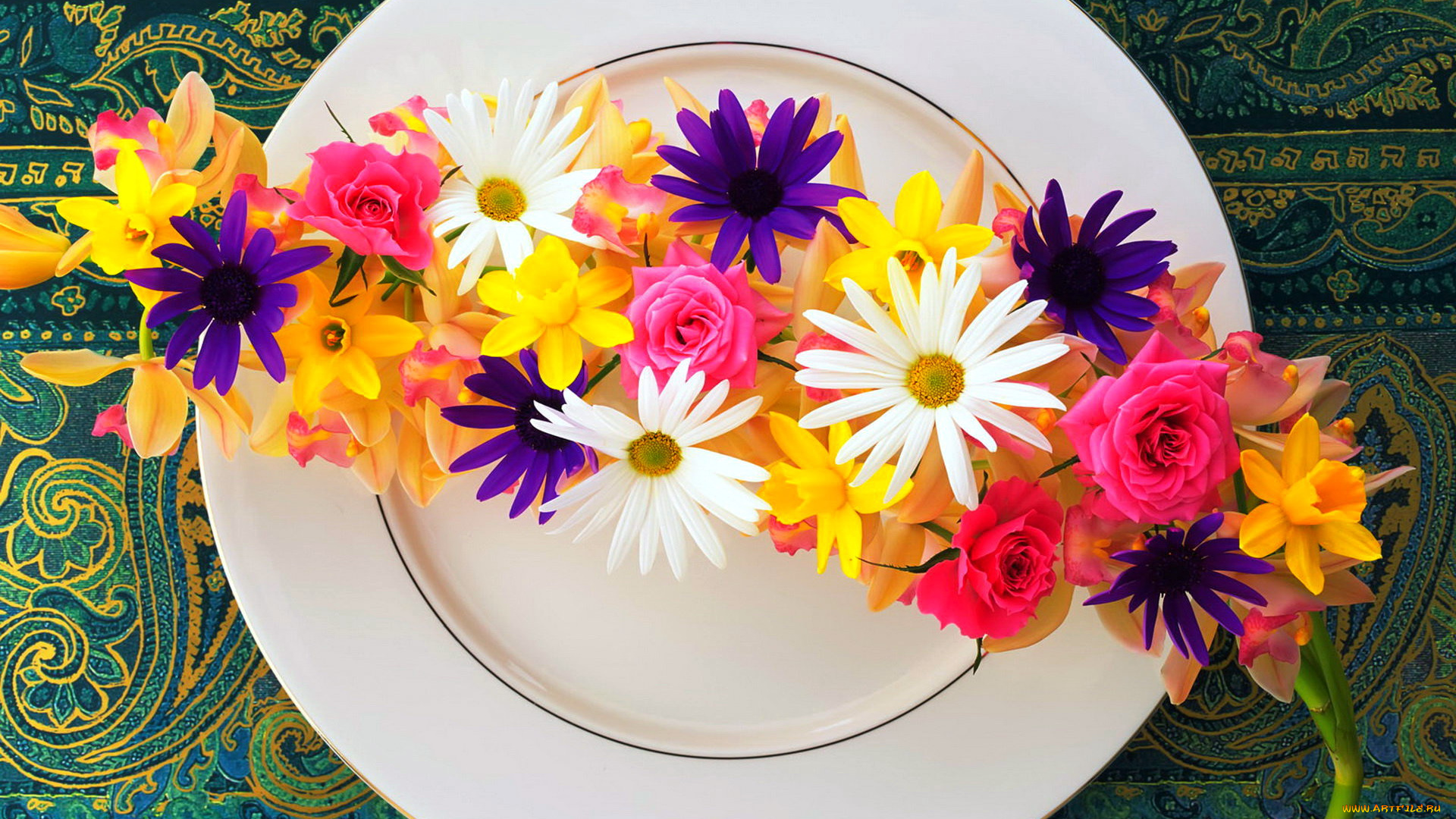 цветы, разные, вместе, ромашки, розы, нарциссы