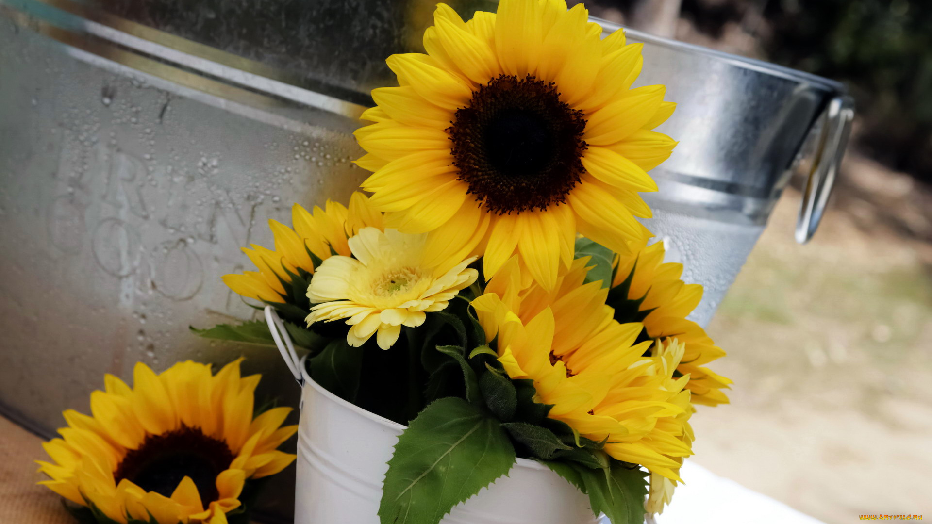 цветы, разные, вместе, желтый