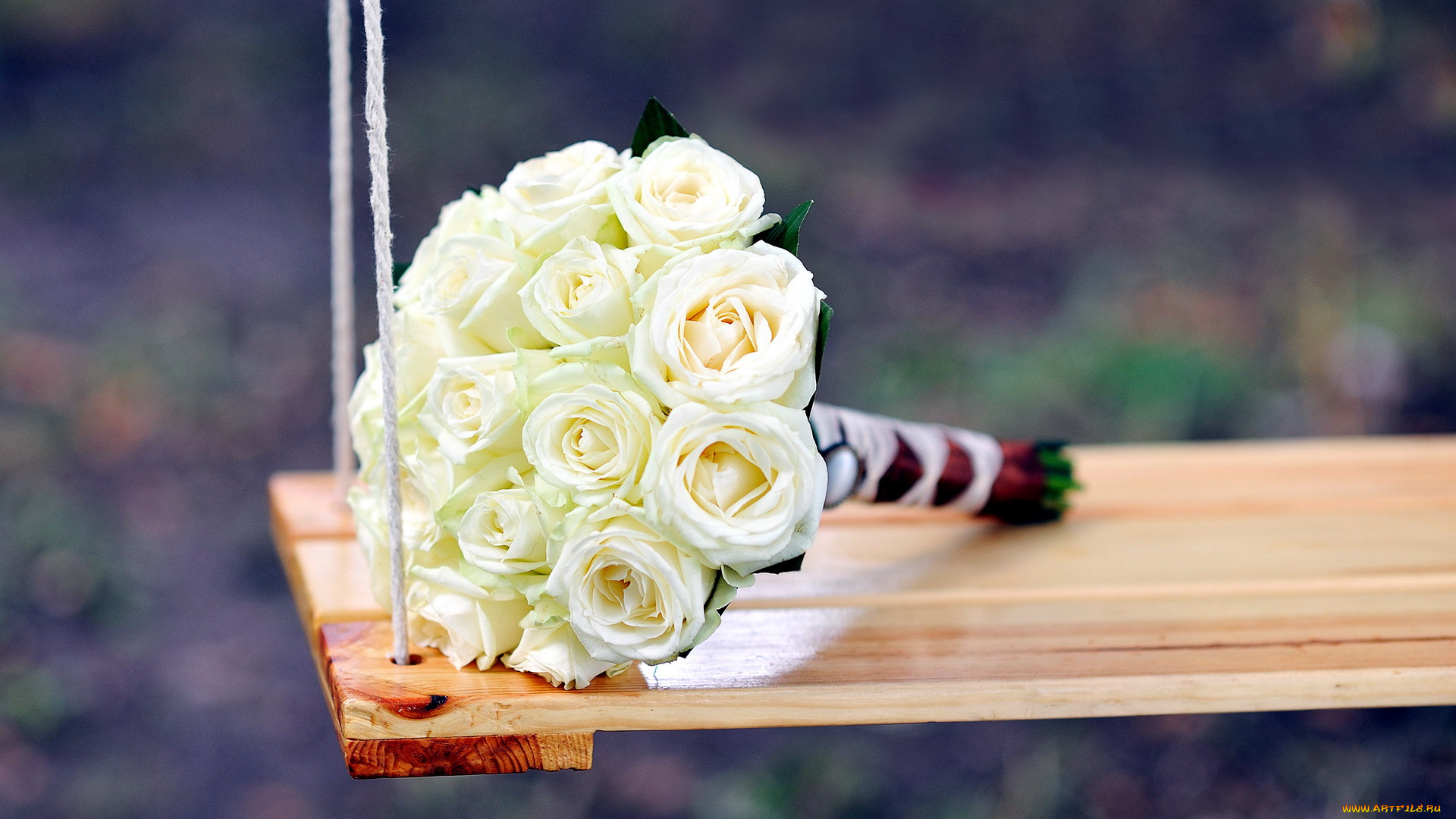 цветы, розы, букет, качели