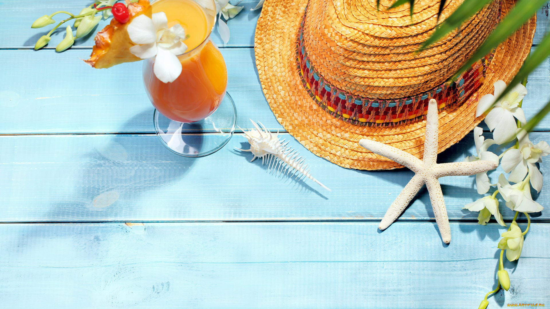 еда, напитки, , коктейль, шляпа, звезда, морская