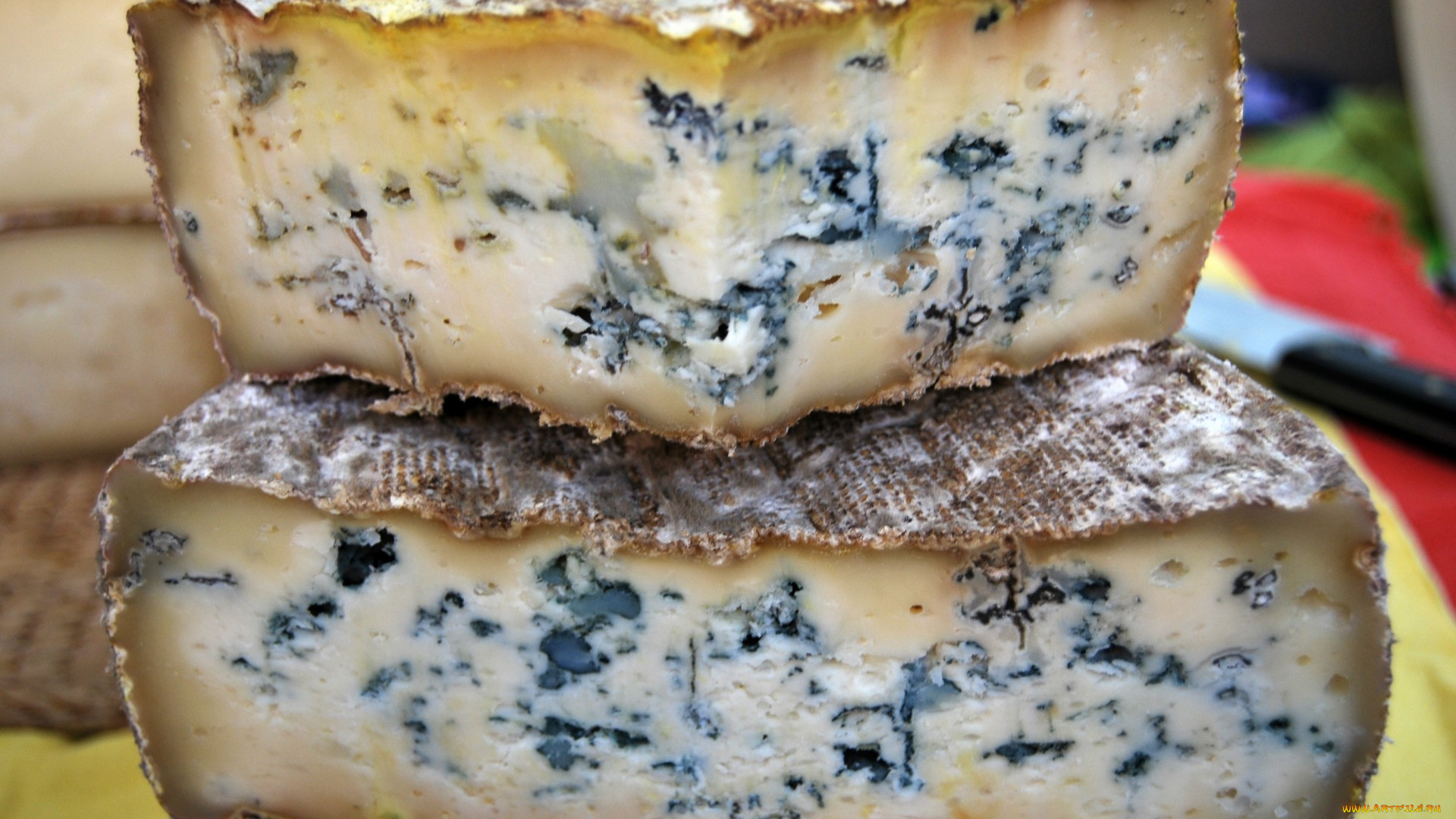 ostari, еда, сырные, изделия, сыр