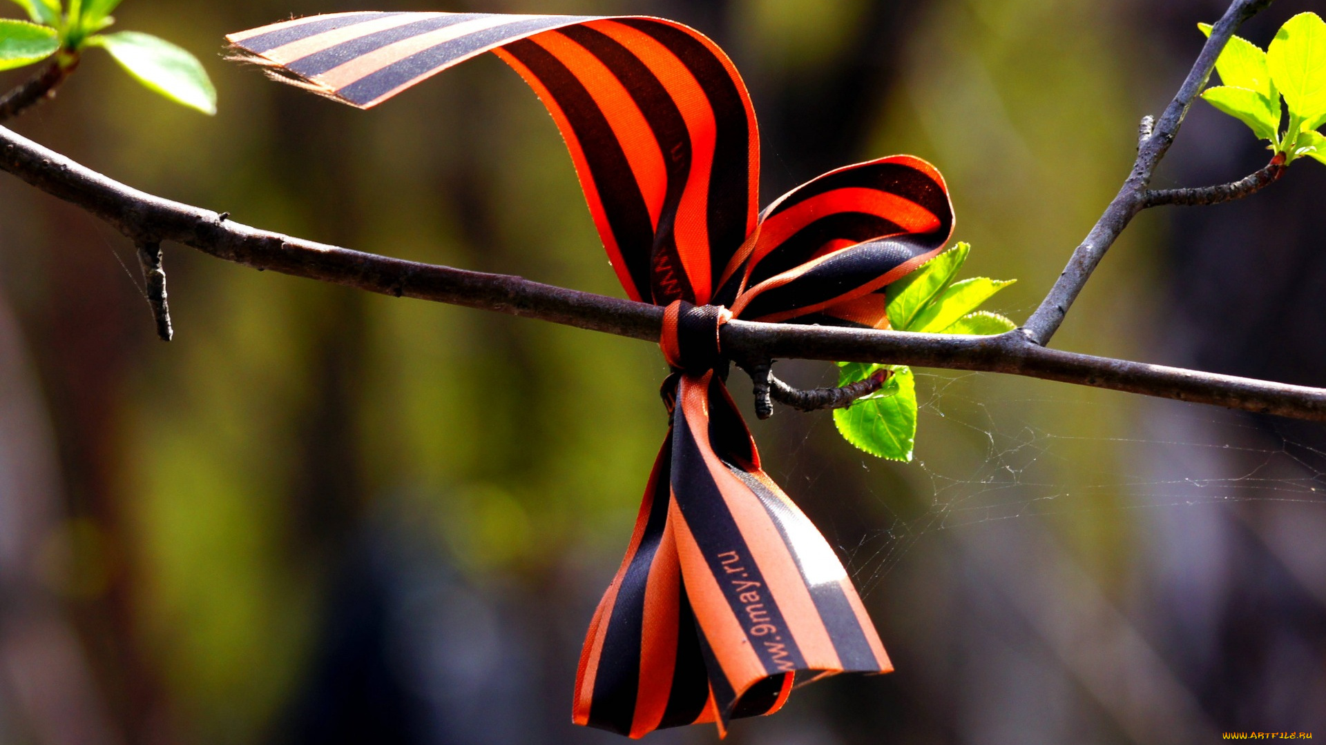 праздничные, день, победы, 9, мая