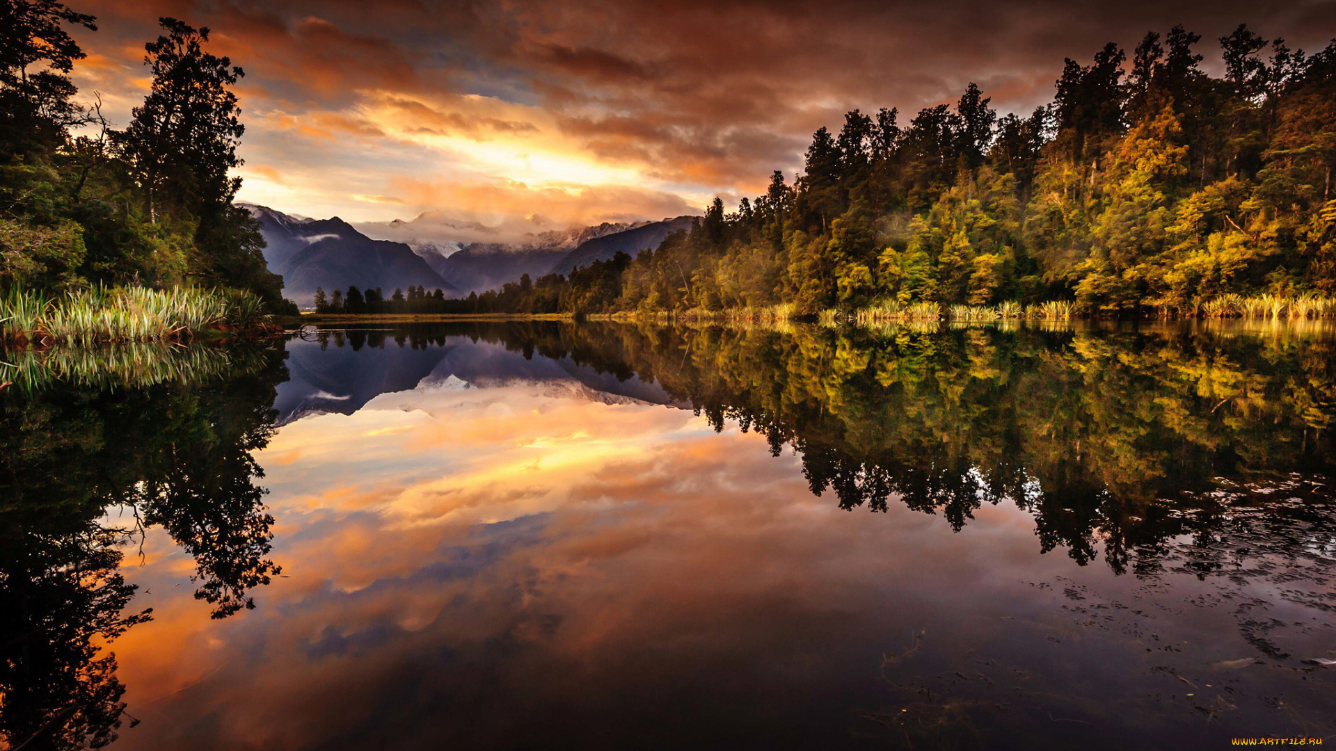 природа, реки, озера, южный, остров, национальный, парк, вестленд, новая, зеландия, озеро, горы, лес, отражения, ледник, фокса, утро, lake, matheson