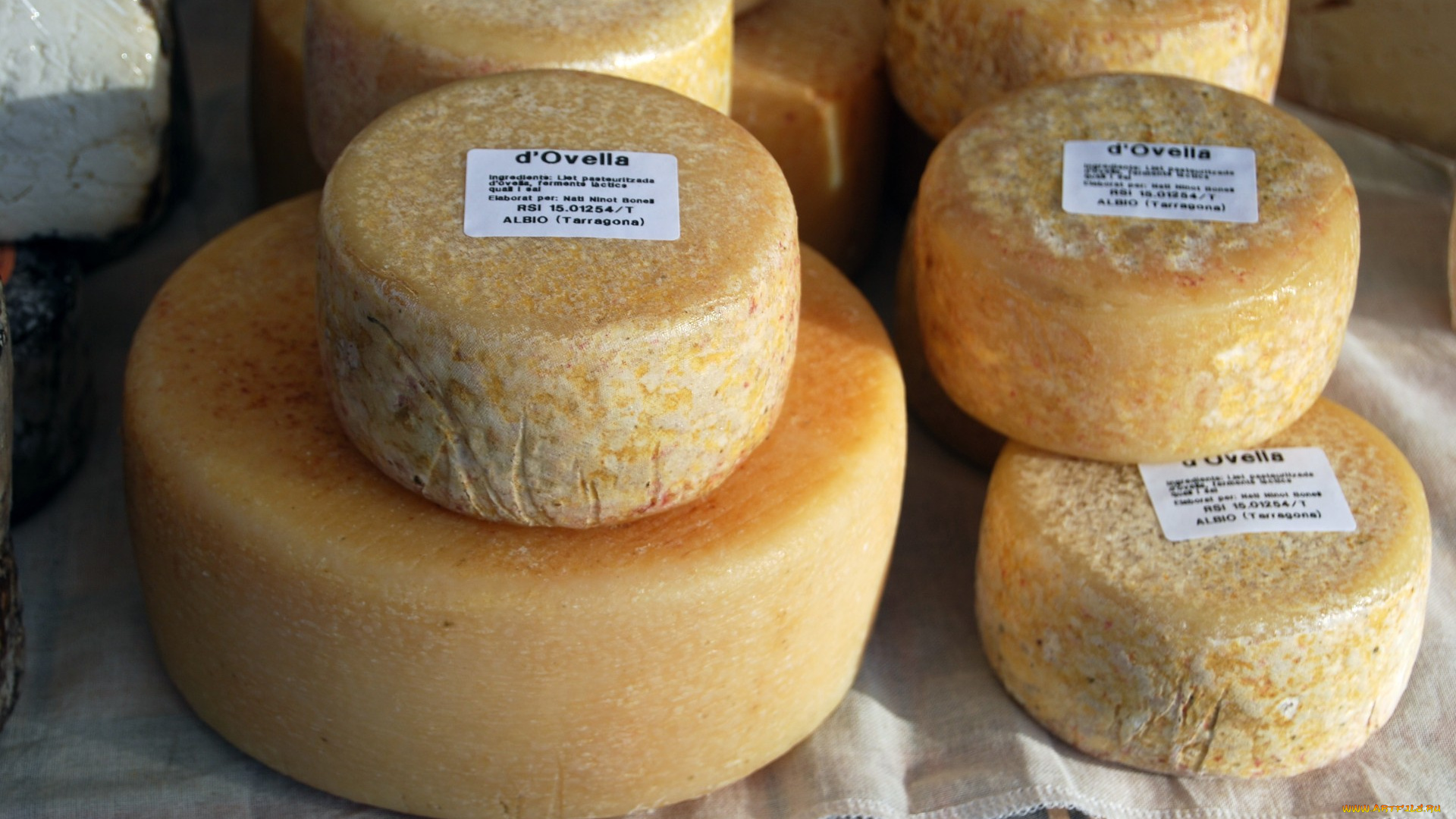 queso, de, albio, еда, сырные, изделия, сыр