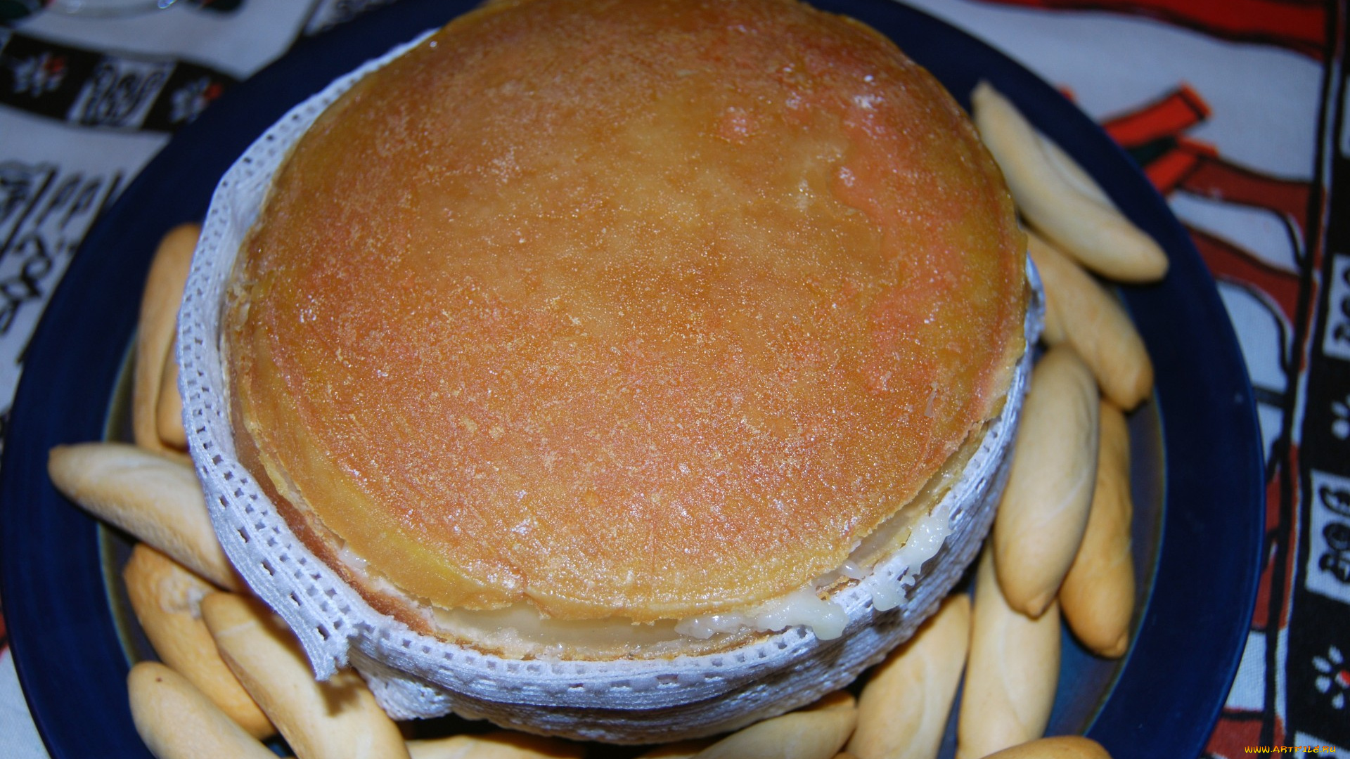 torta, serena, еда, сырные, изделия, сыр