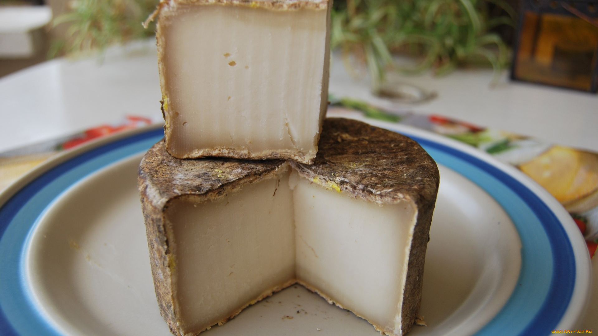 veciana, еда, сырные, изделия, сыр