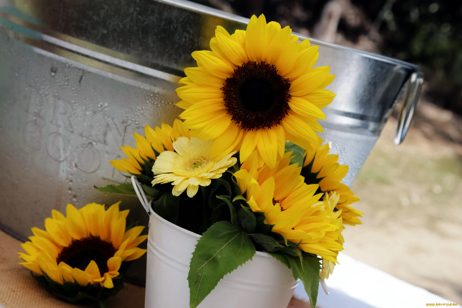 цветы, разные, вместе, желтый