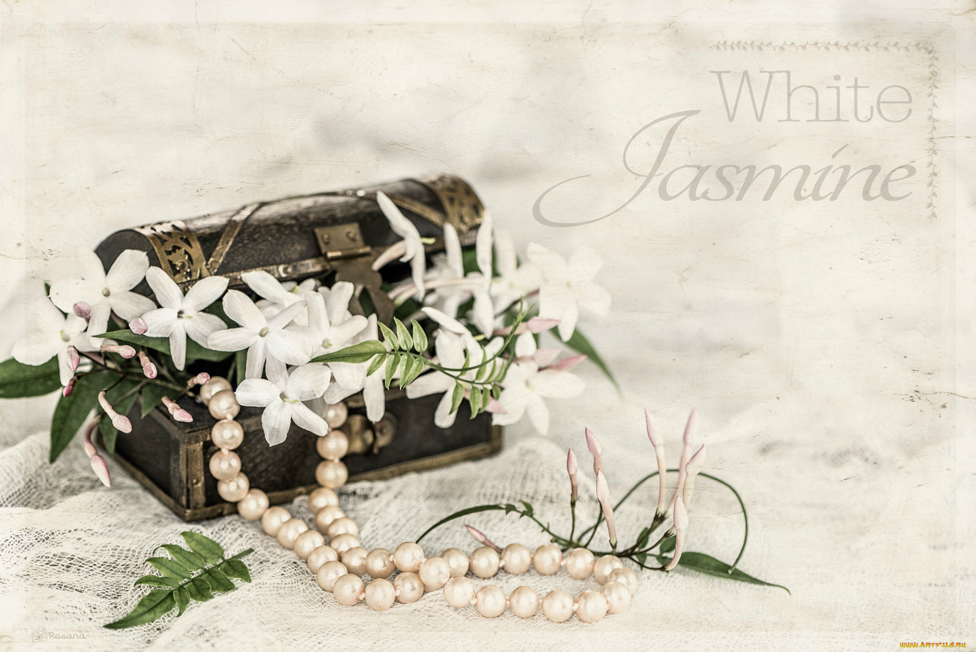 цветы, жасмин, сундучок, ожерелье, листья, белый, индийский