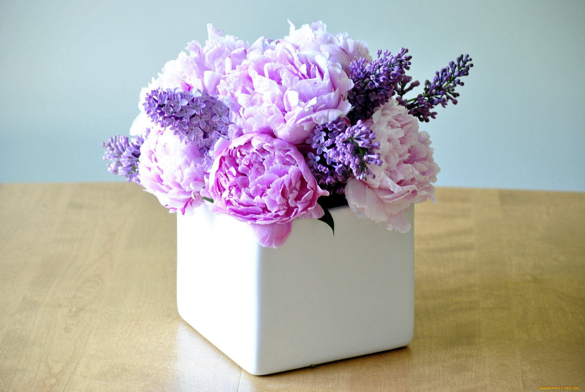 цветы, букеты, , композиции, сирень, пионы