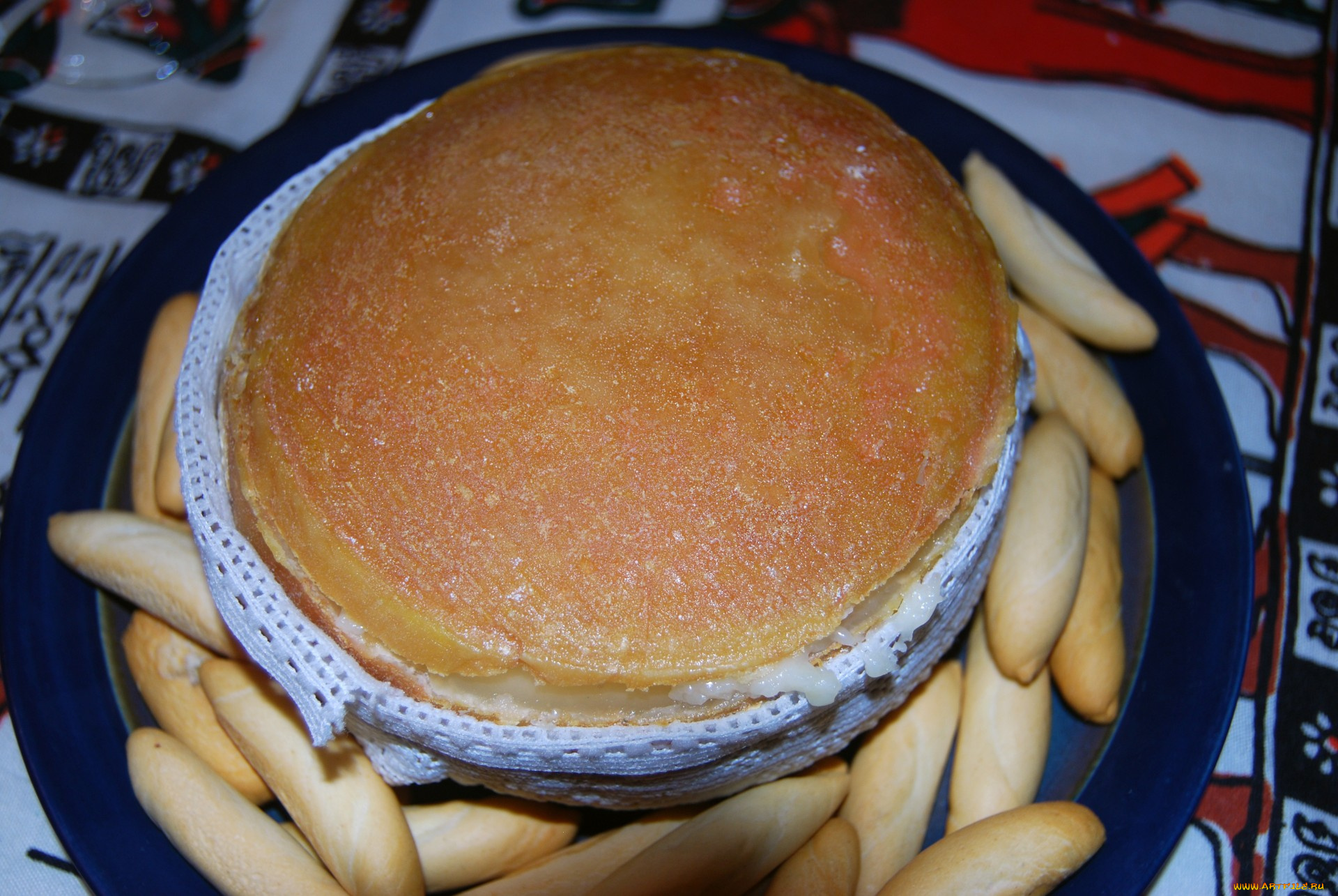 torta, serena, еда, сырные, изделия, сыр