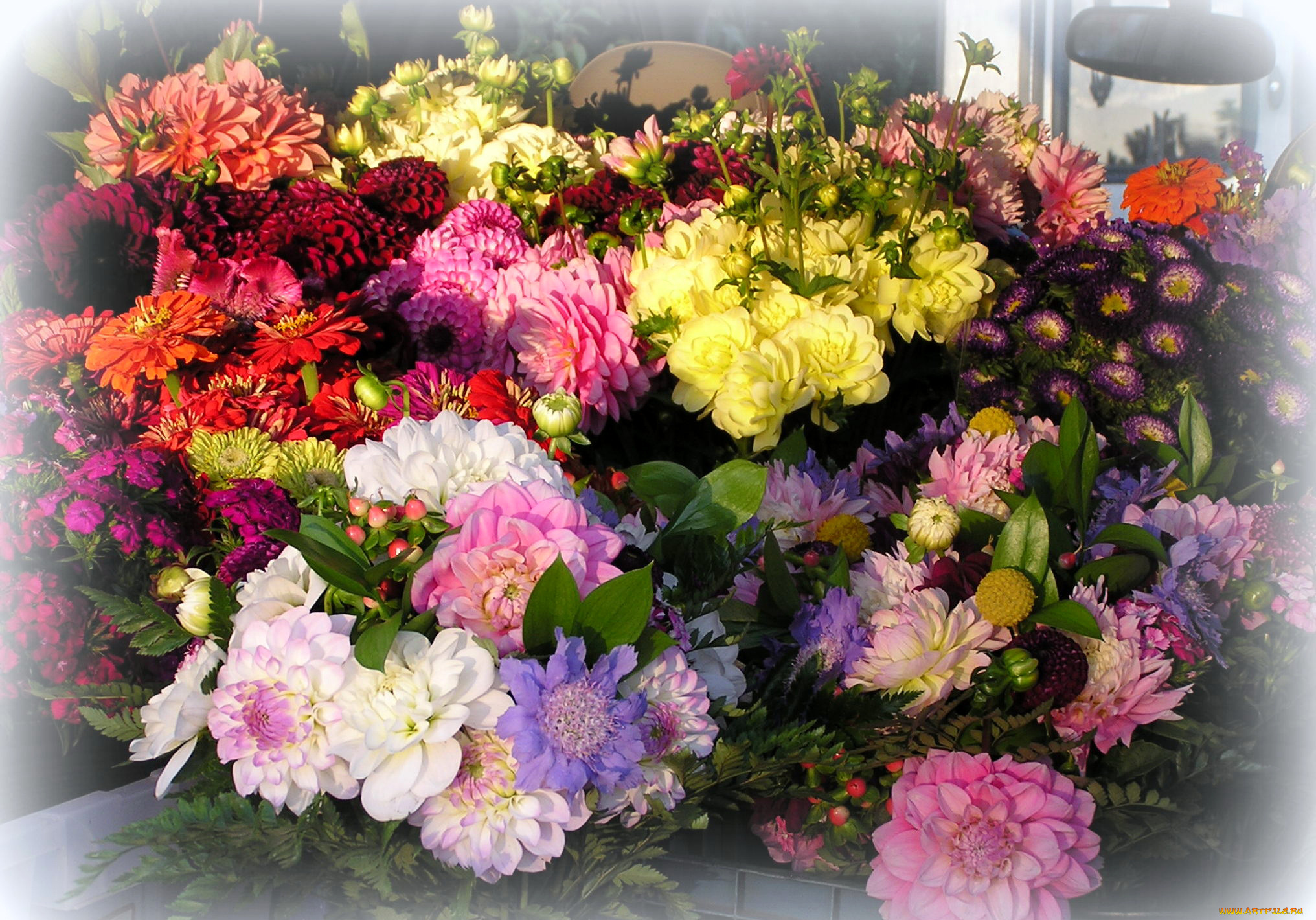 цветы, разные, вместе, гвоздики, хризантемы, георгины, циннии