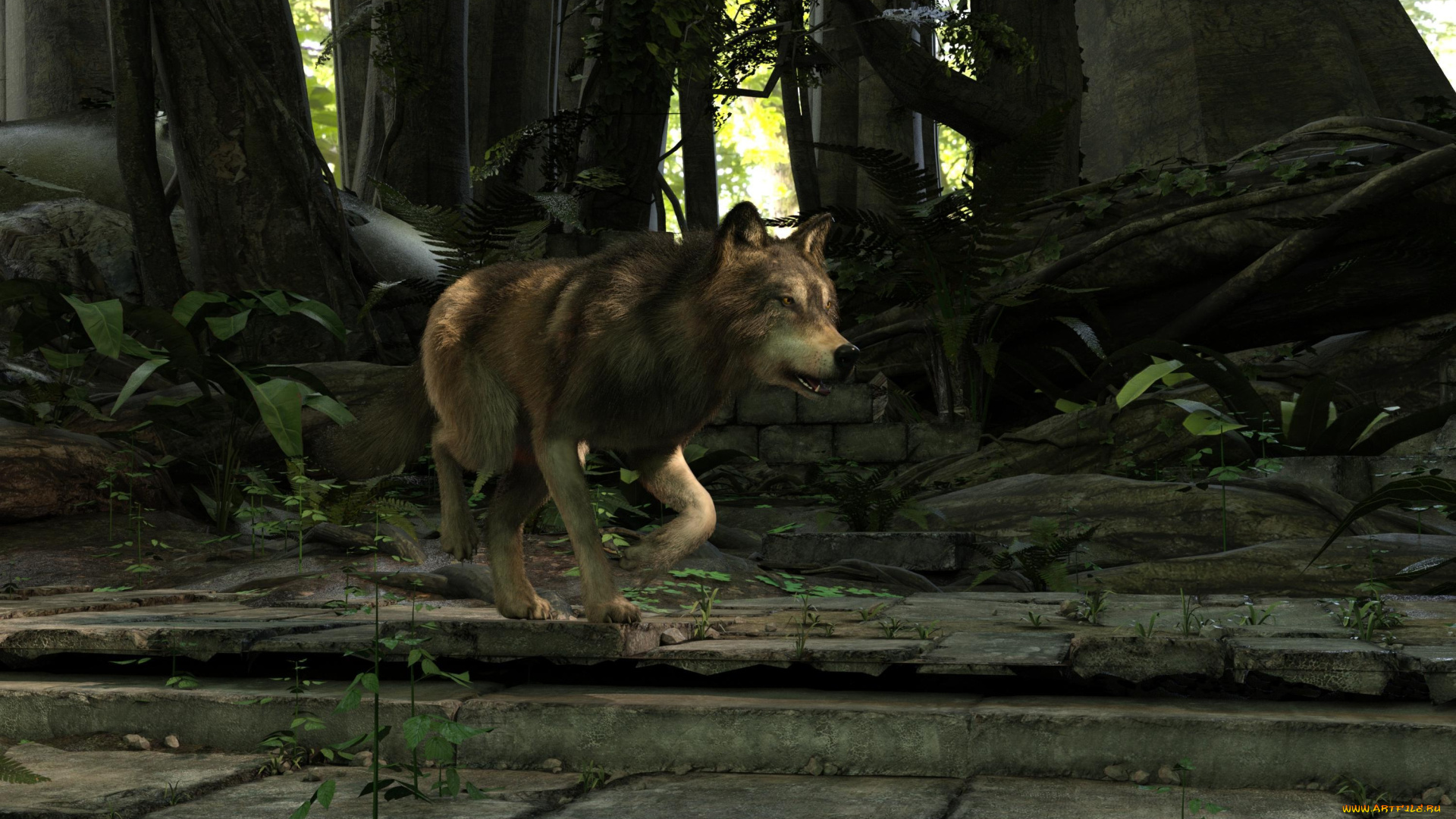 3д, графика, животные, , animals, фон, волк