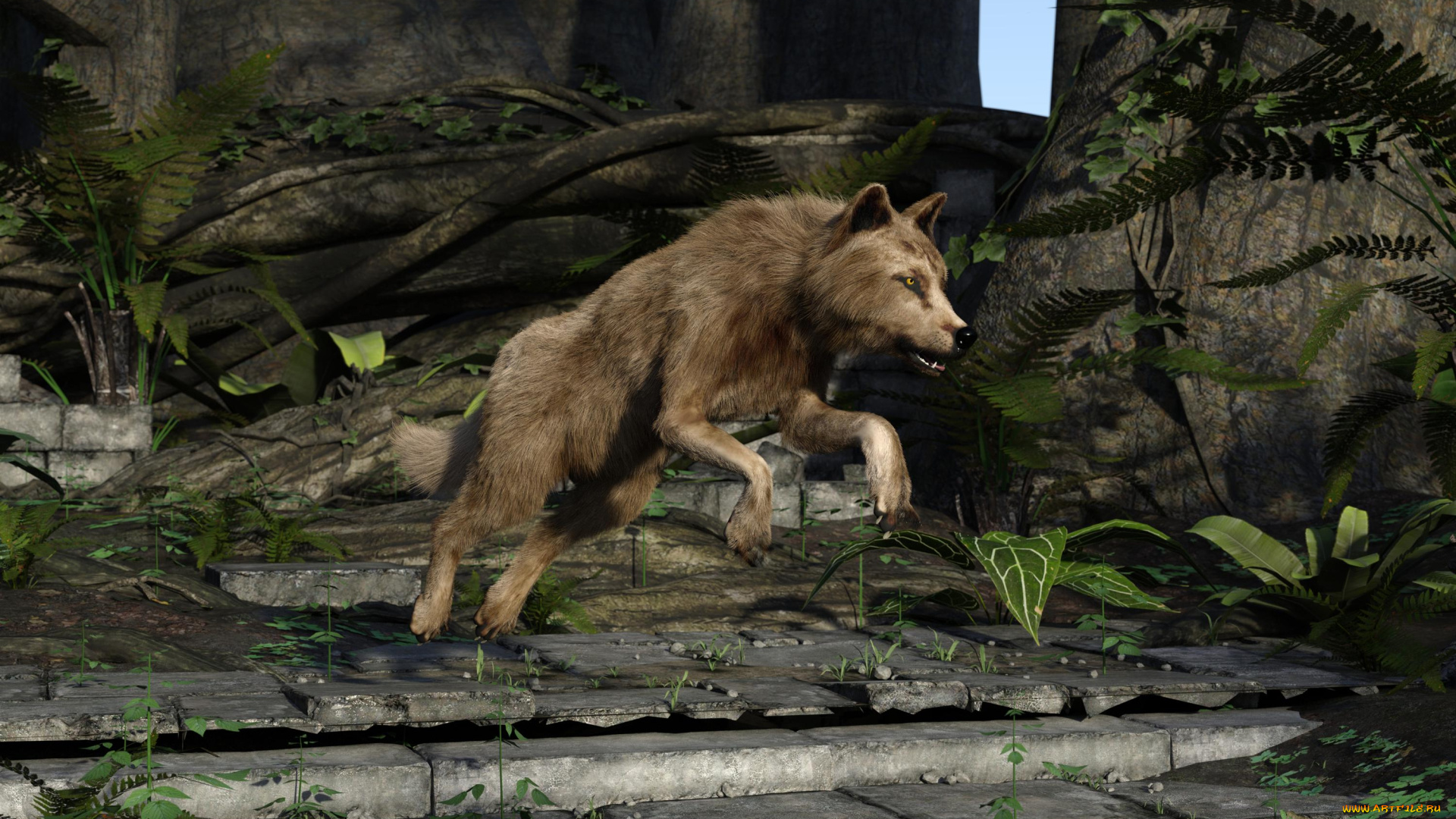 3д, графика, животные, , animals, фон, волк