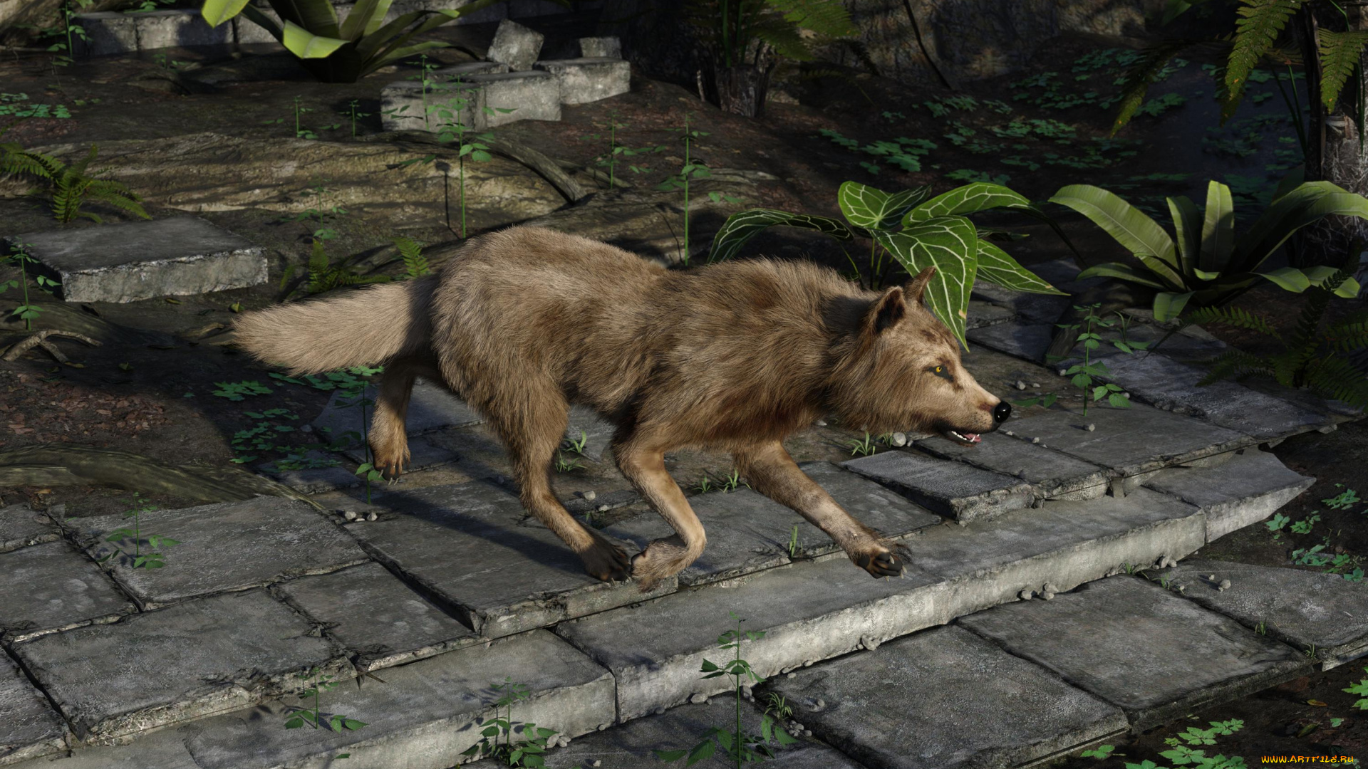 3д, графика, животные, , animals, фон, волк