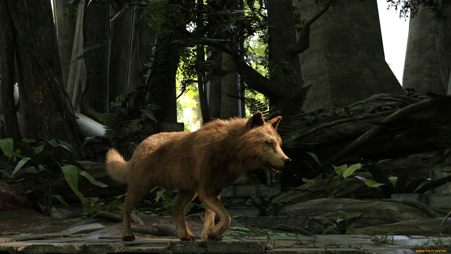 3д, графика, животные, , animals, фон, волк