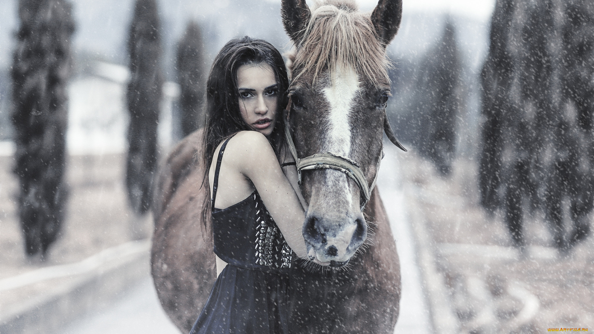 девушки, -unsort, , брюнетки, , шатенки, лицо, взгляд