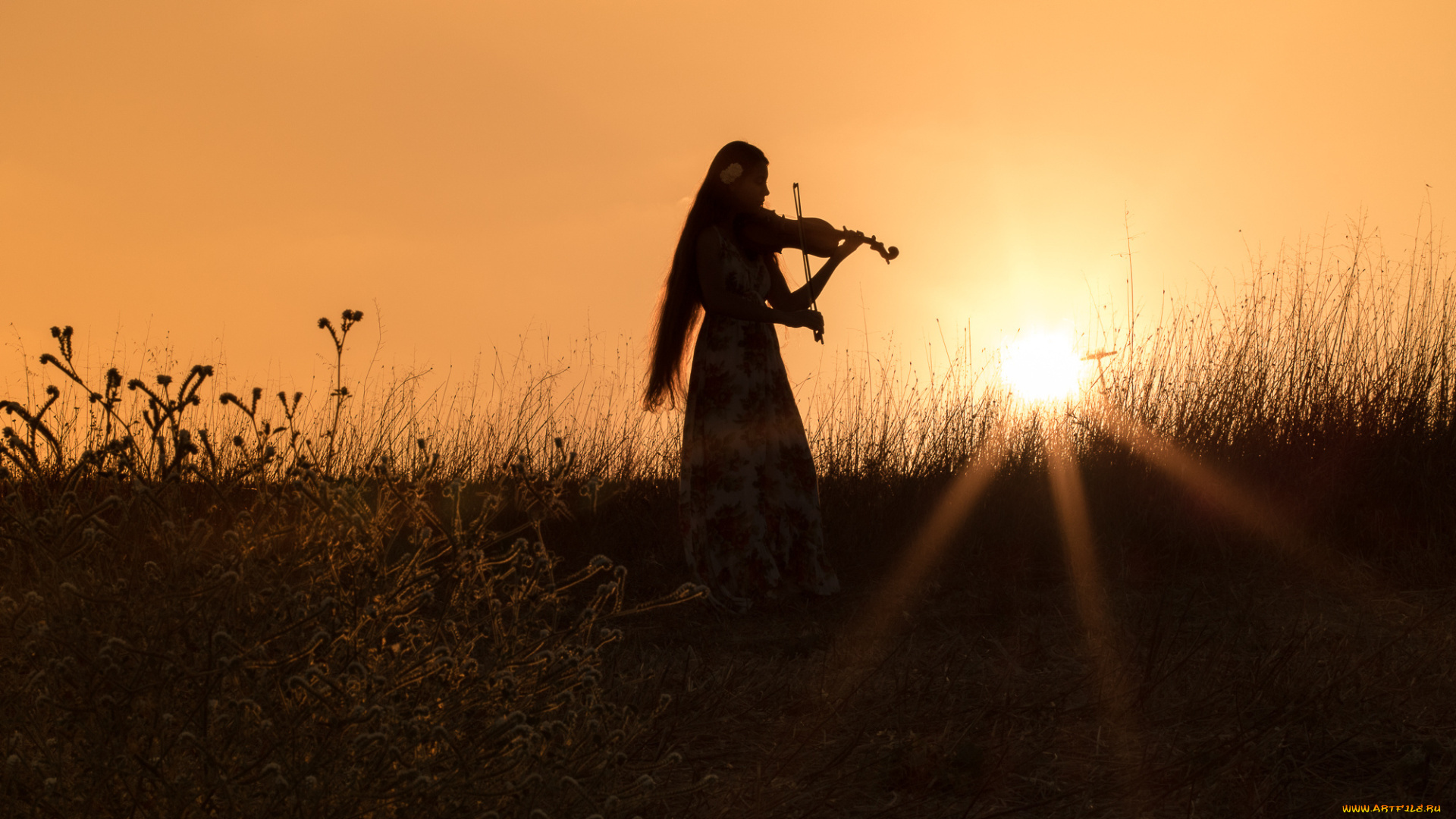 музыка, -, другое, лучи, солнца, силуэт, закат, скрипка, платье, настроение, поле, девушка, трава, вечер