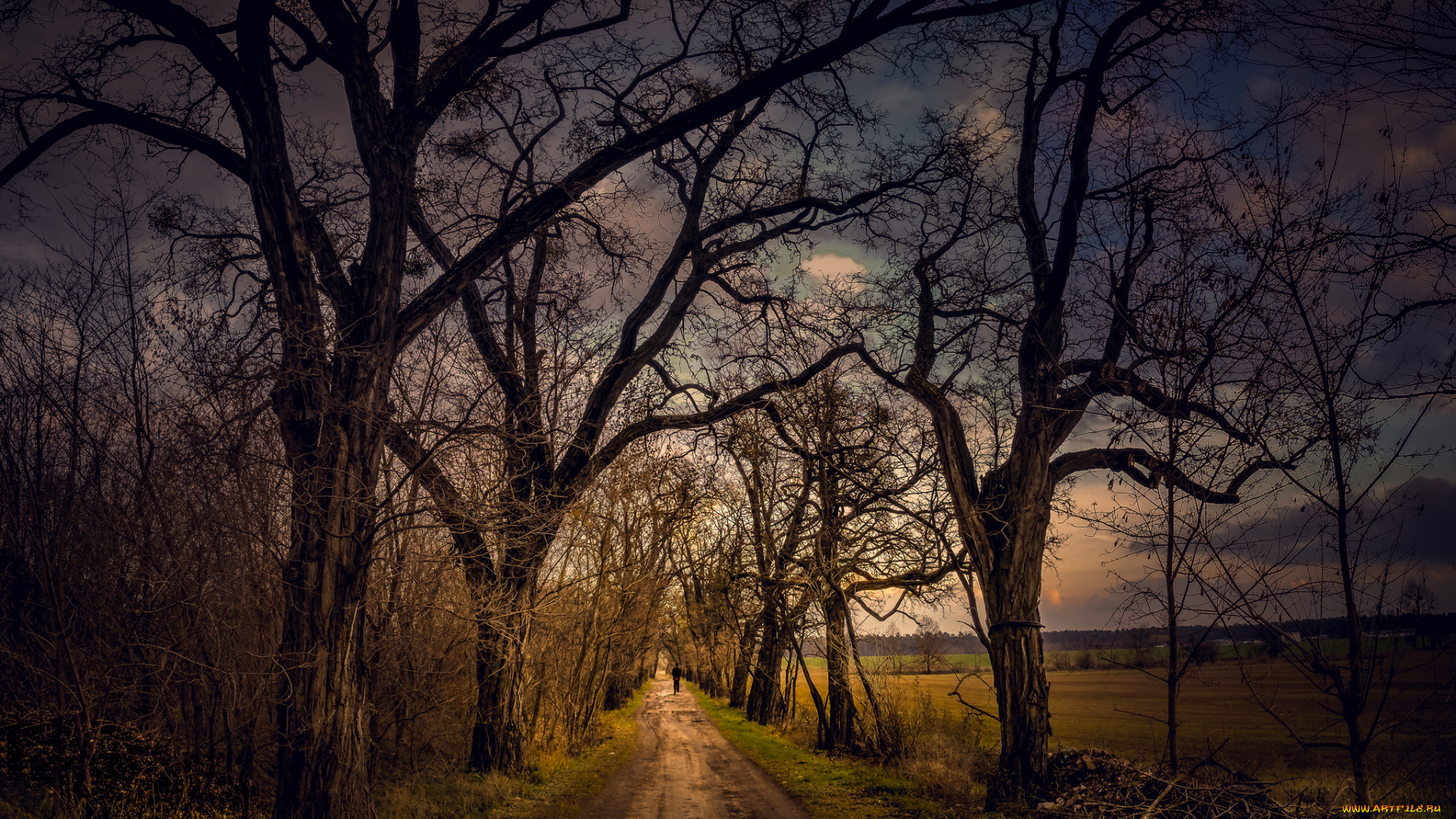 природа, дороги, тракт