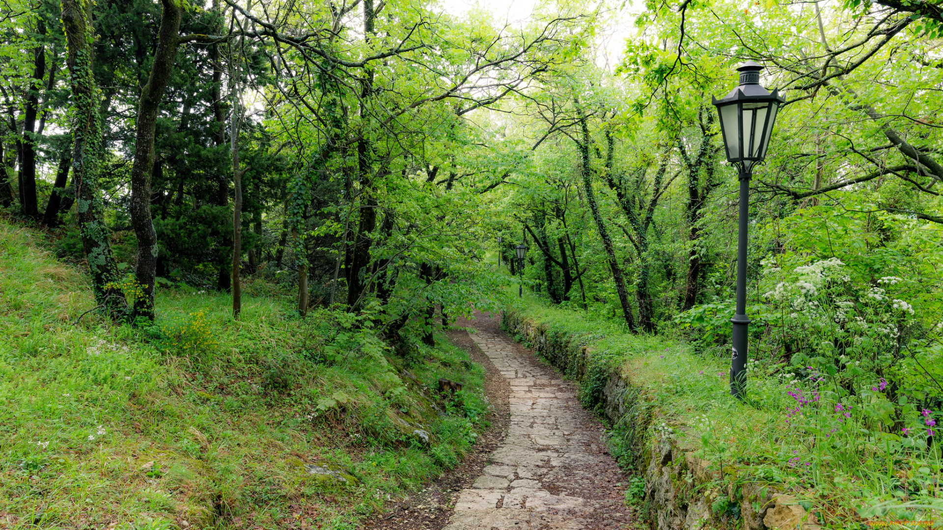 природа, дороги, тракт