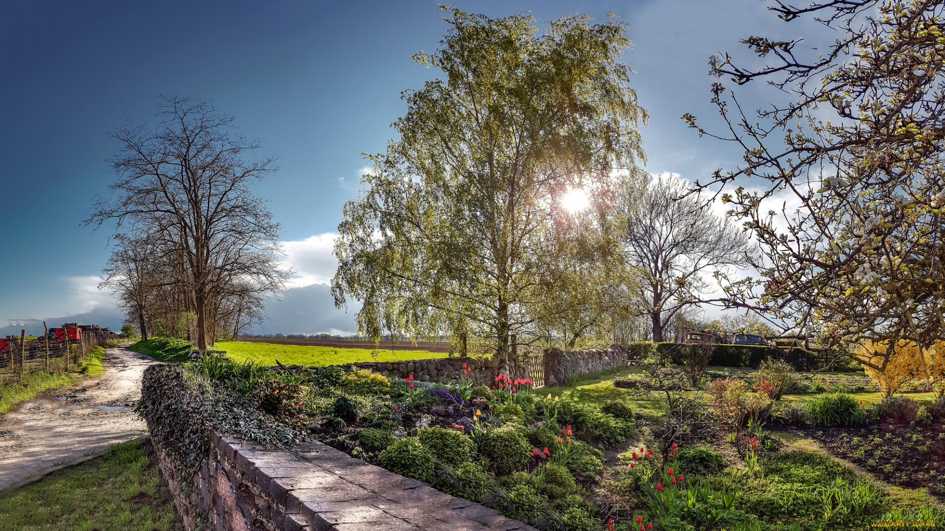 природа, дороги, тракт