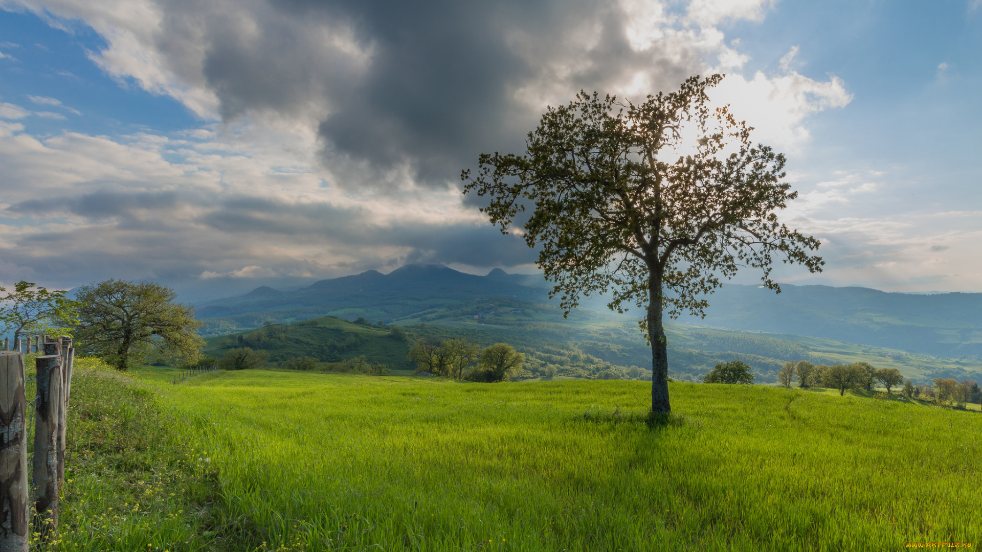 природа, пейзажи, крона, дерево