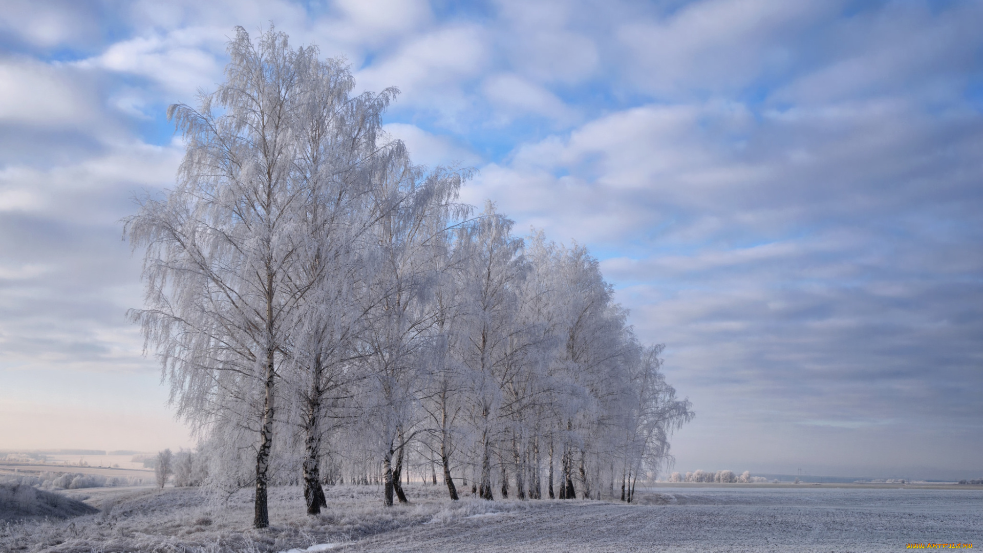 природа, зима, снег