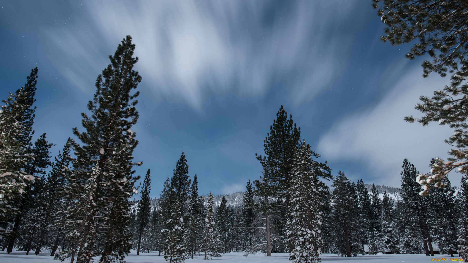 природа, зима, снег