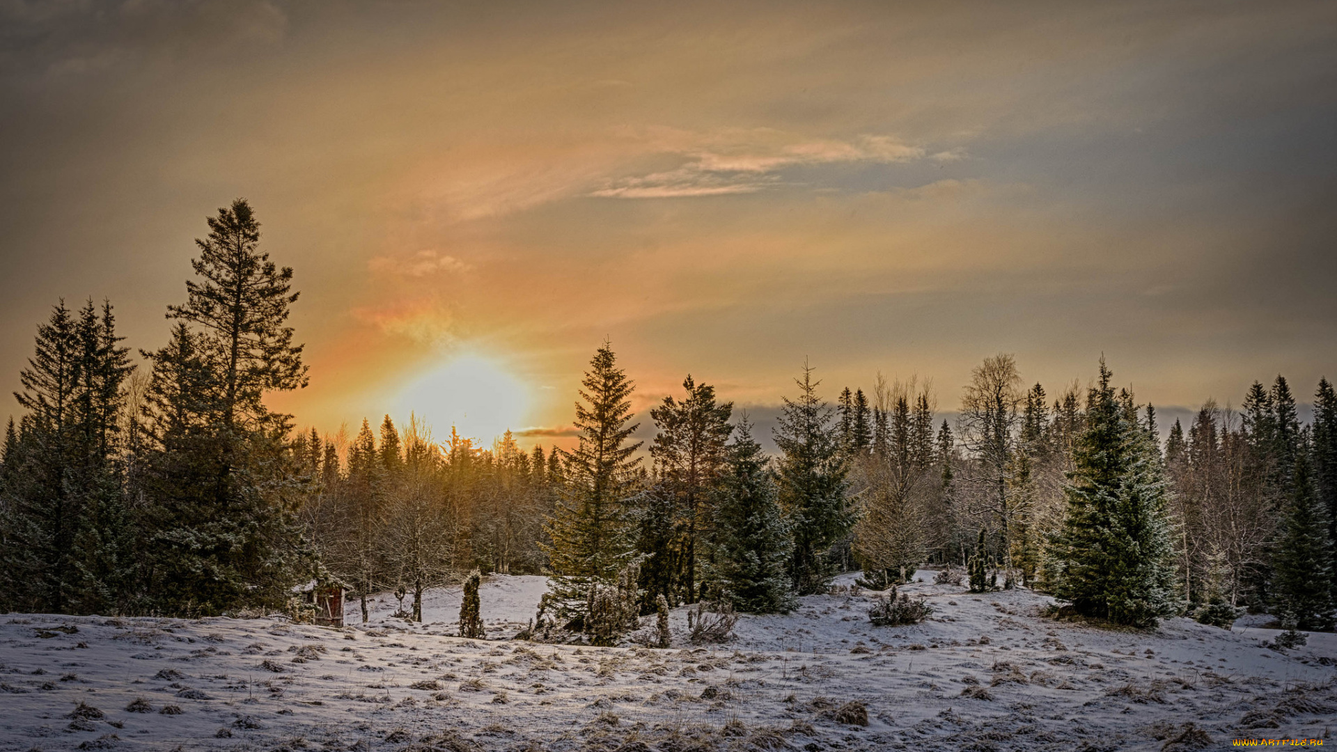 природа, зима, снег