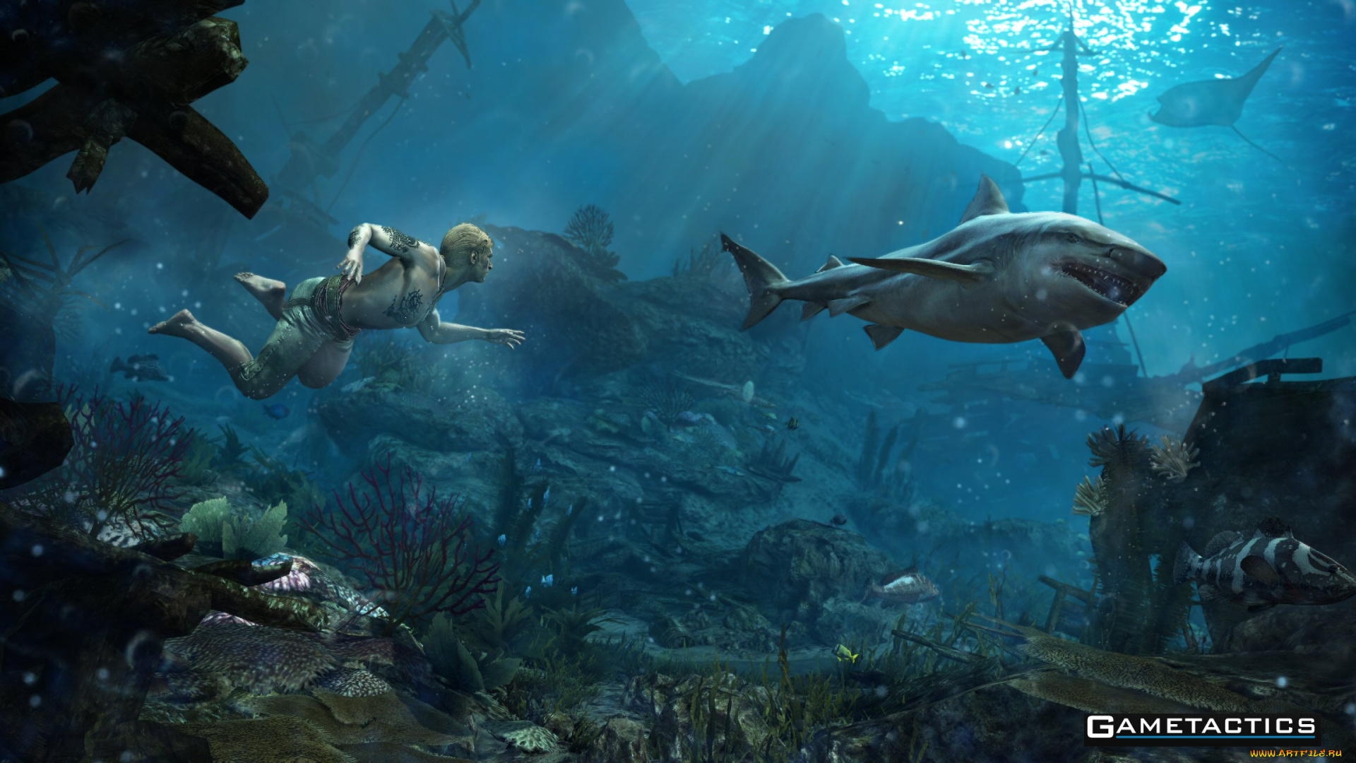 видео, игры, assassin`s, creed, iv, , black, flag, акула, море, парень