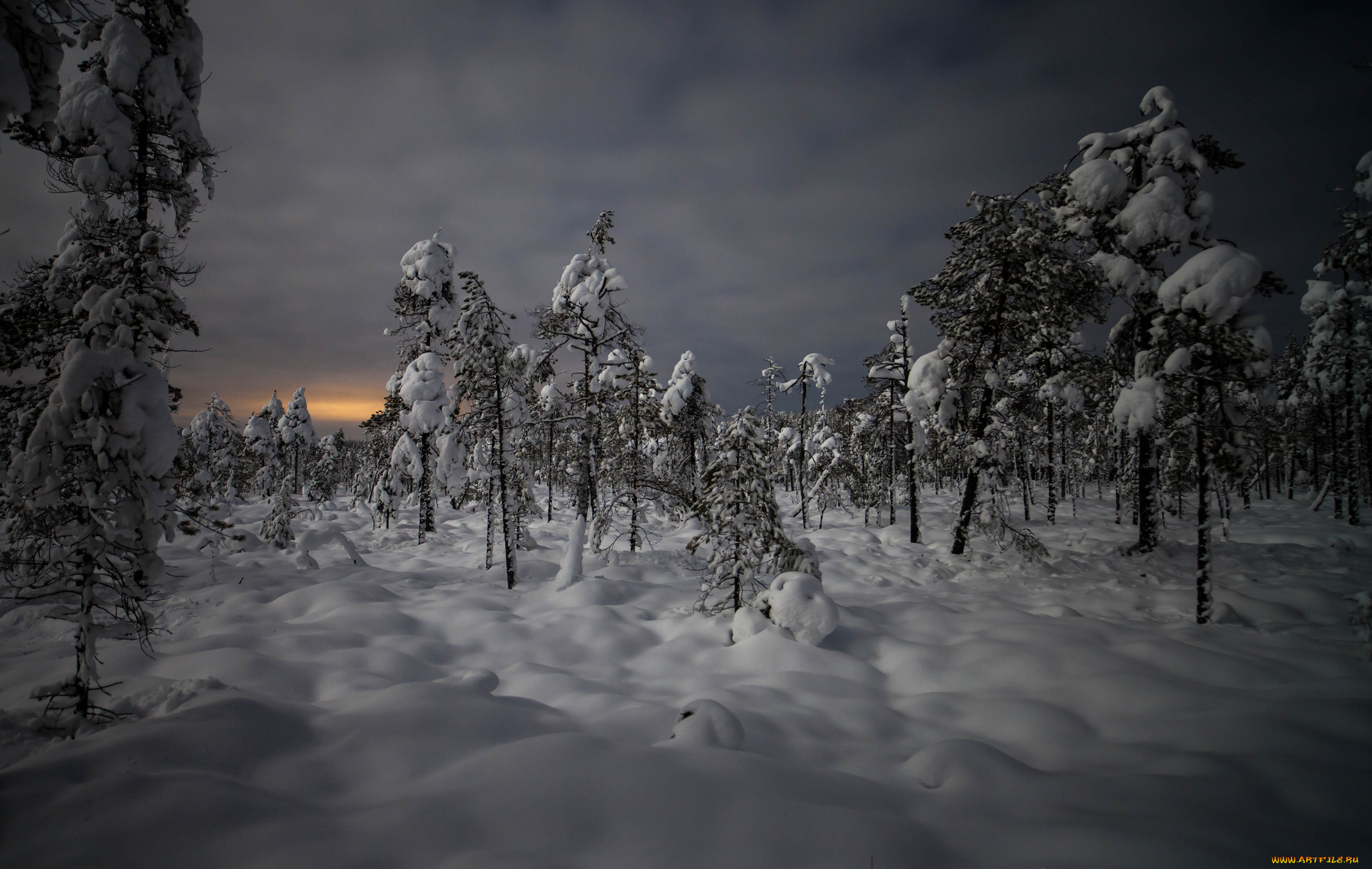 природа, зима, снег