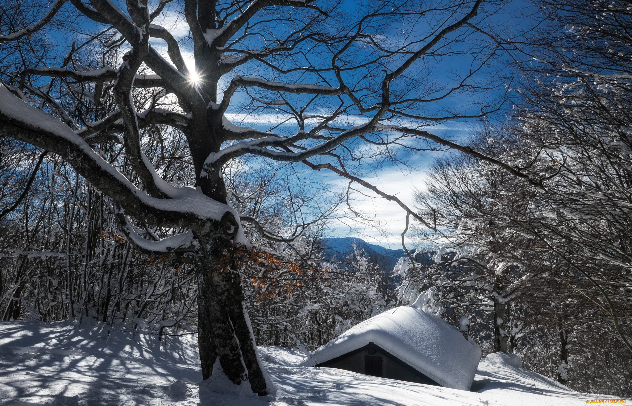 природа, зима, снег