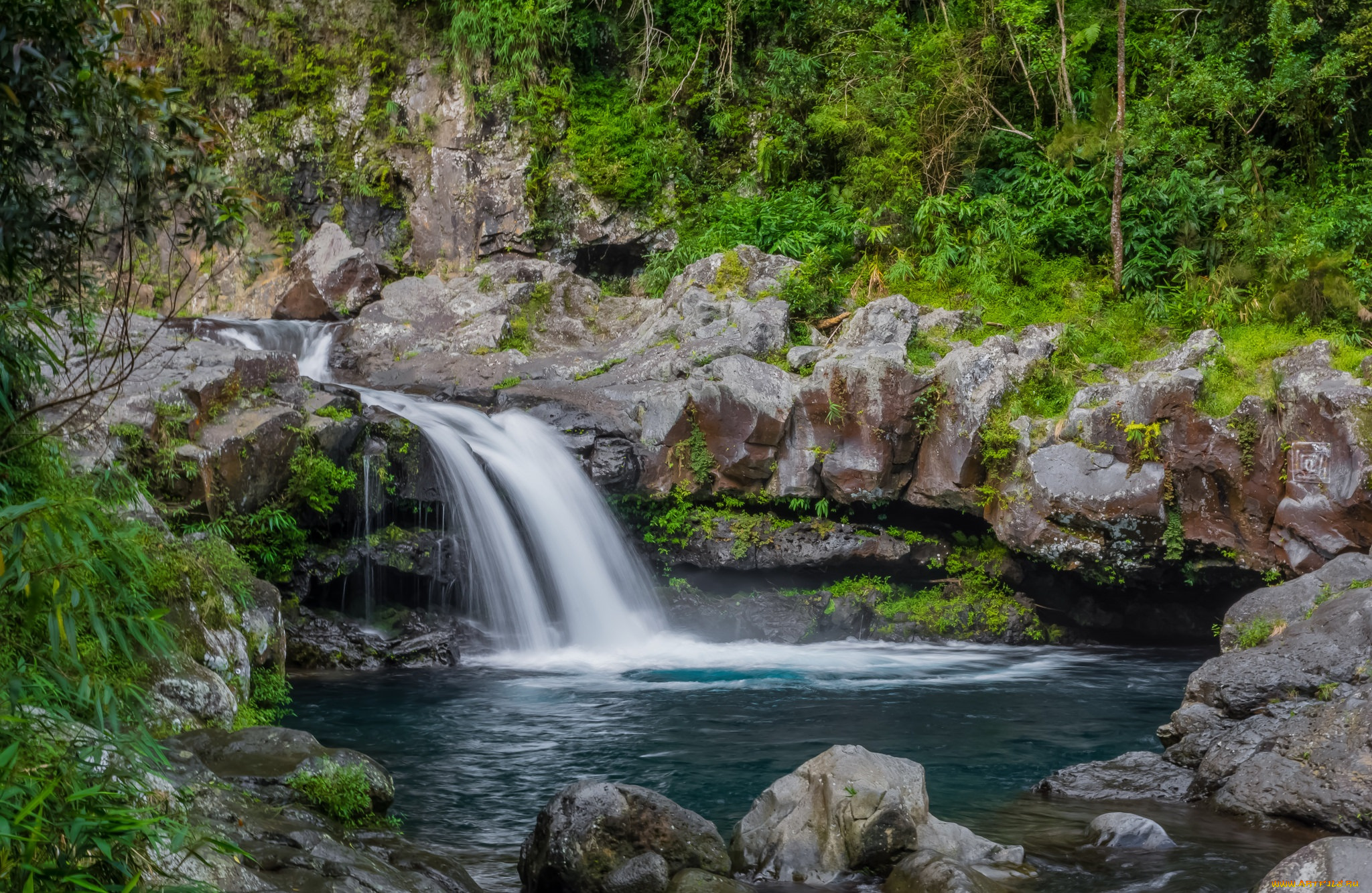 природа, водопады, водопад, река, лес