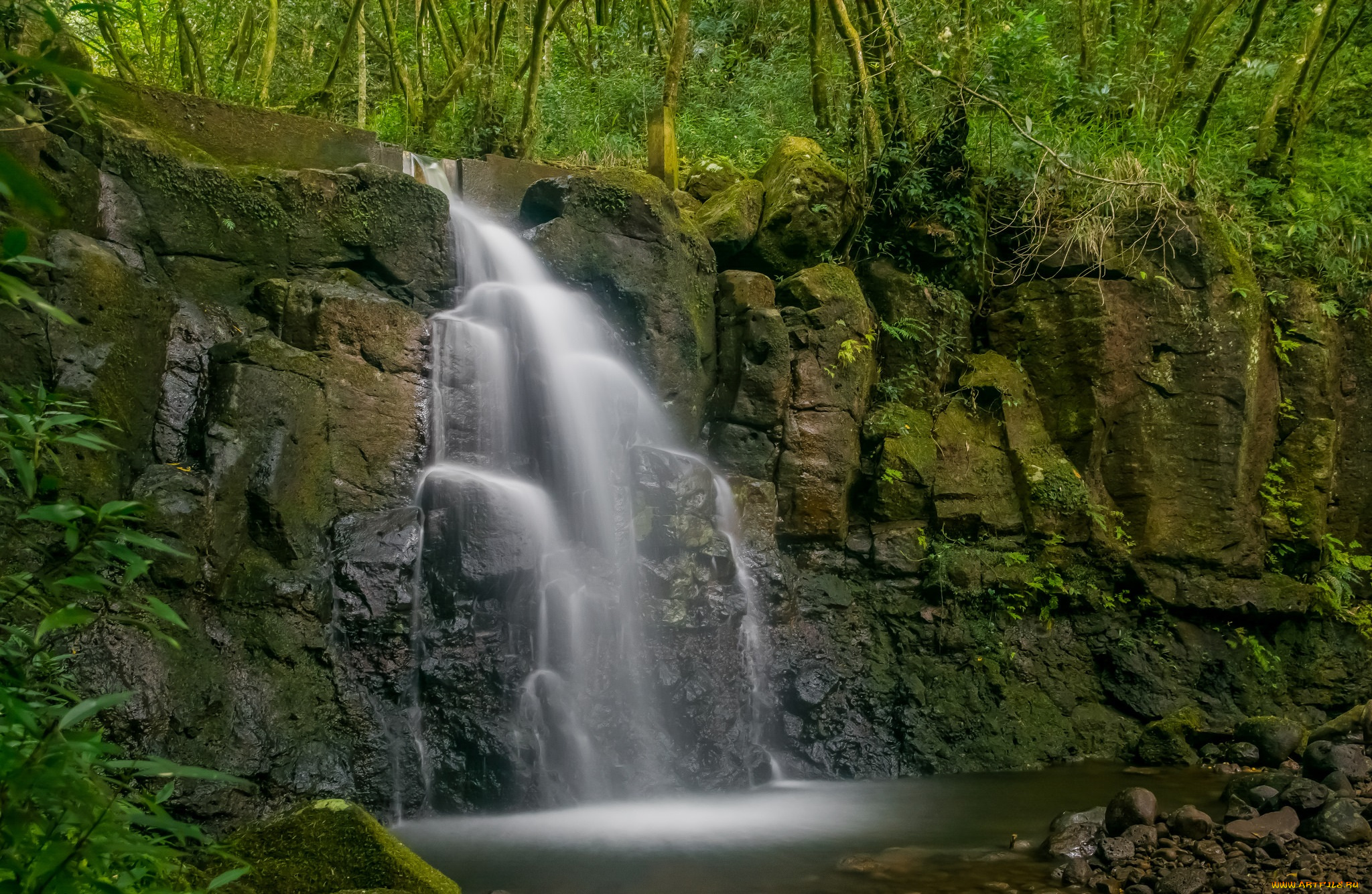 природа, водопады, лес, водопад, река