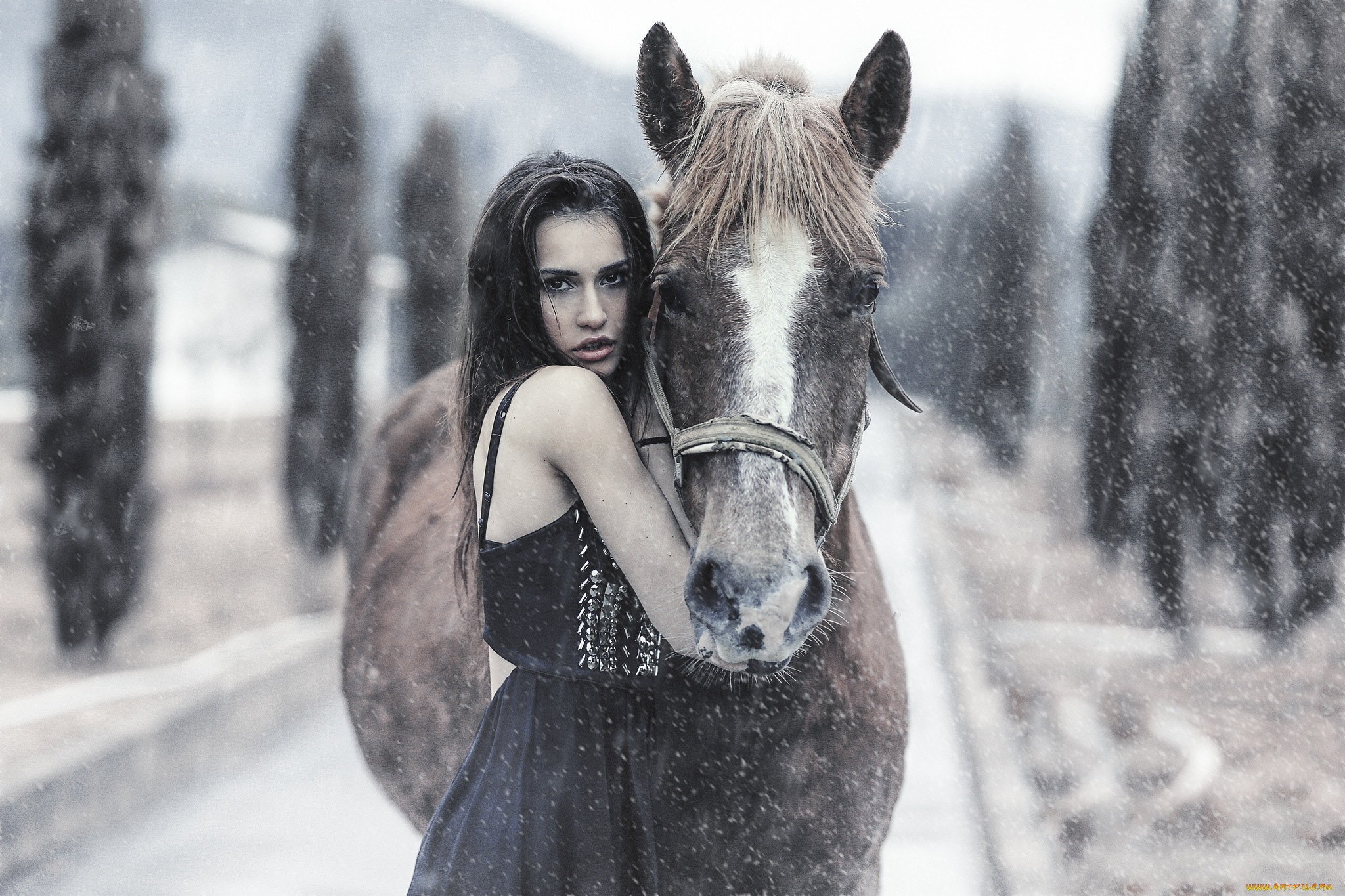 девушки, -unsort, , брюнетки, , шатенки, лицо, взгляд