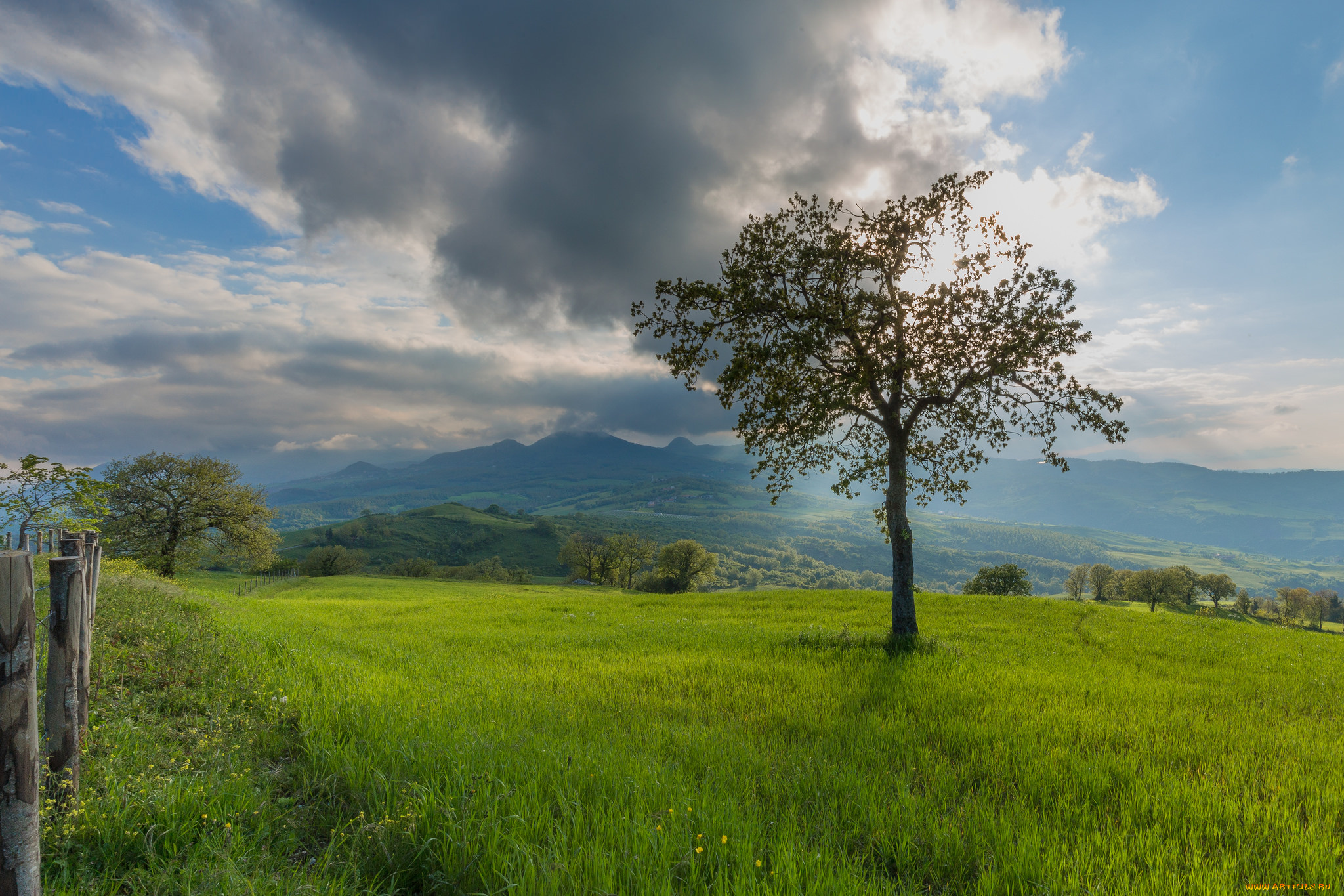 природа, пейзажи, крона, дерево