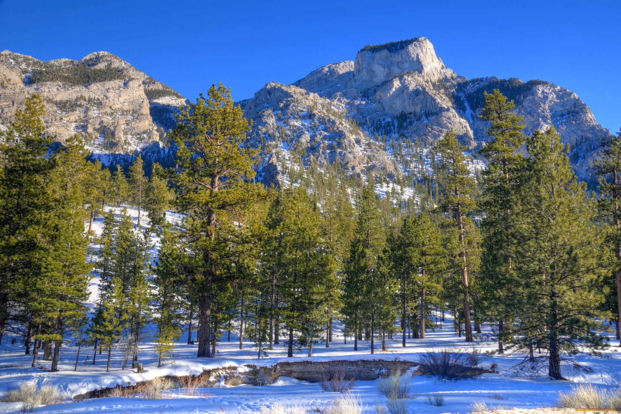 природа, зима, снег