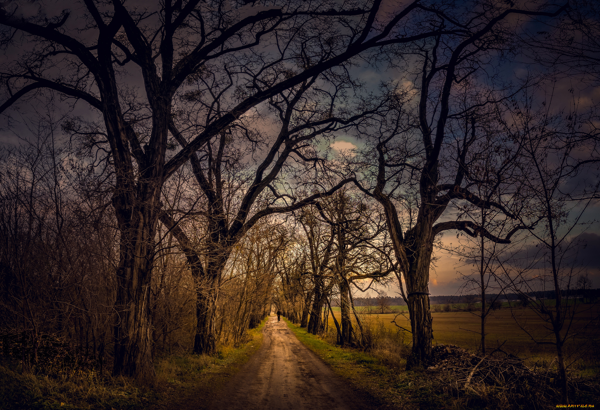 природа, дороги, тракт