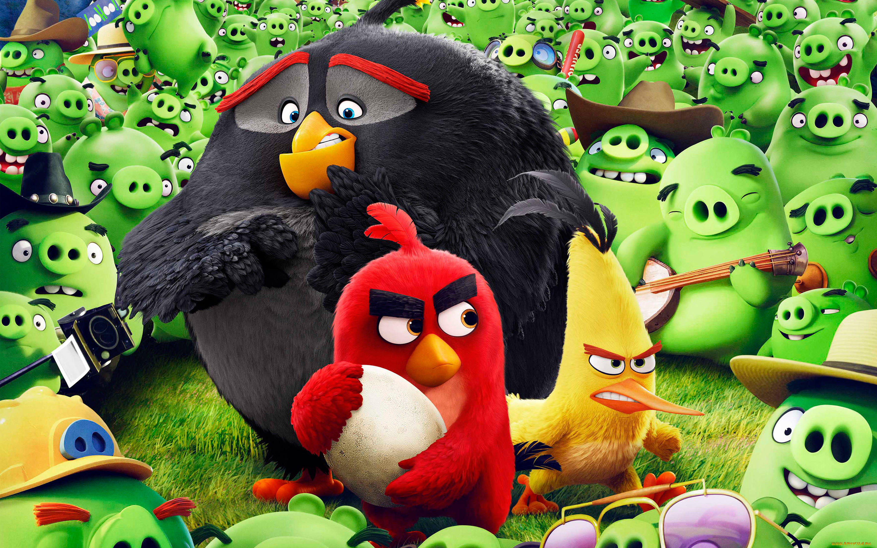 мультфильмы, the, angry, birds, movie, angry, birds, movie