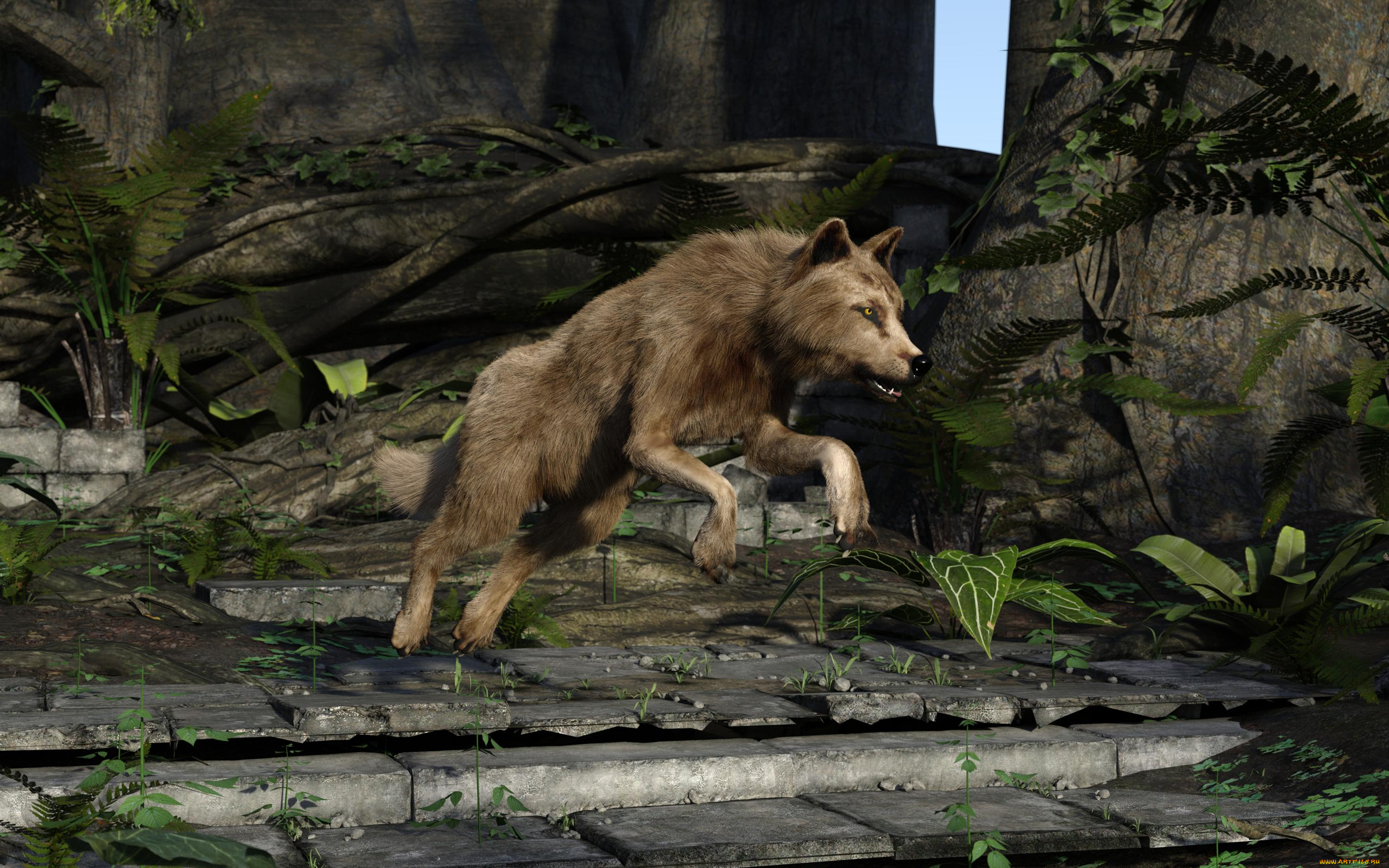 3д, графика, животные, , animals, фон, волк