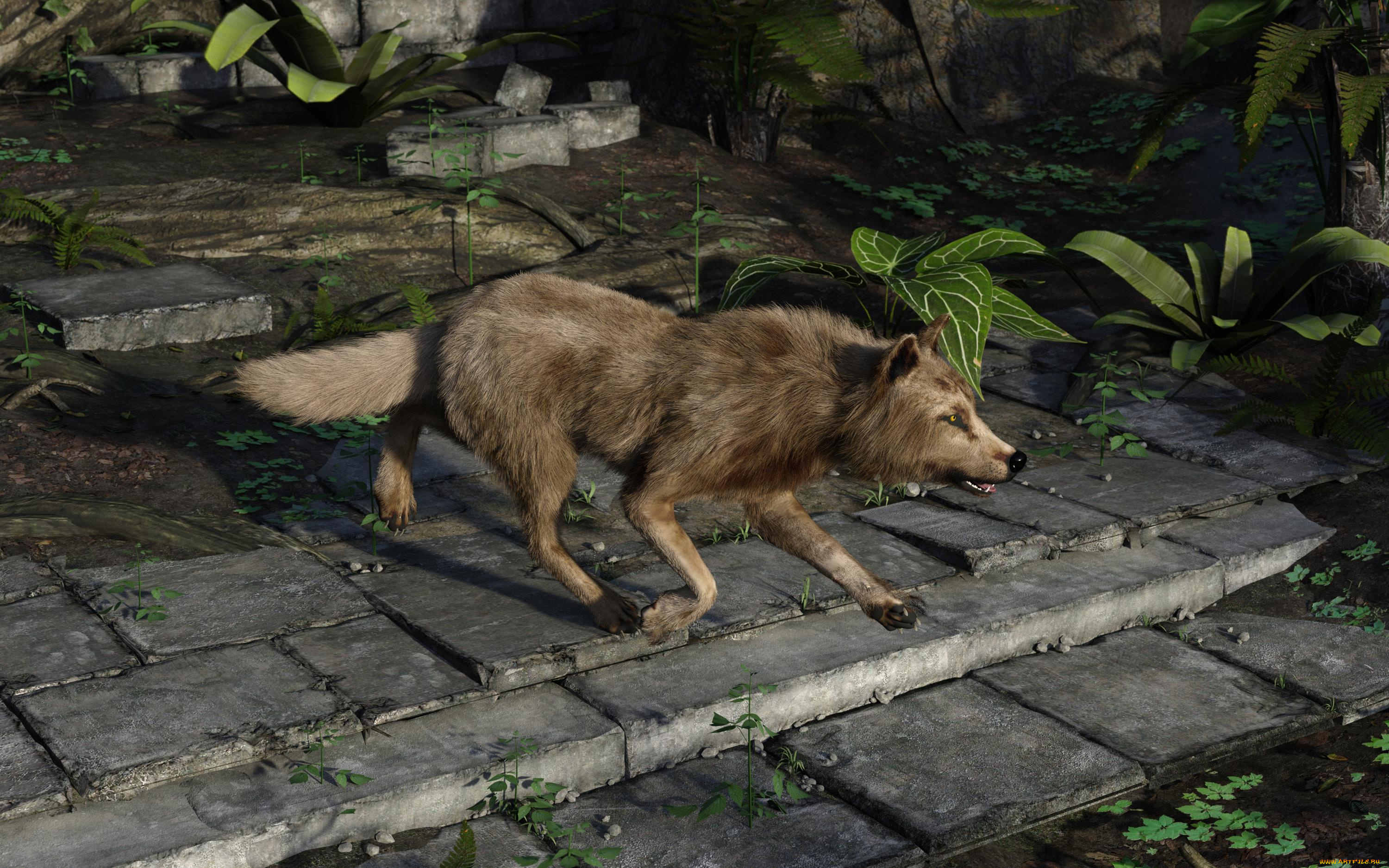 3д, графика, животные, , animals, фон, волк