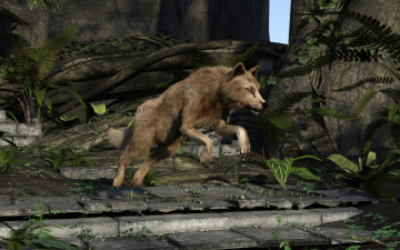 обоя 3д графика, животные , animals, фон, волк