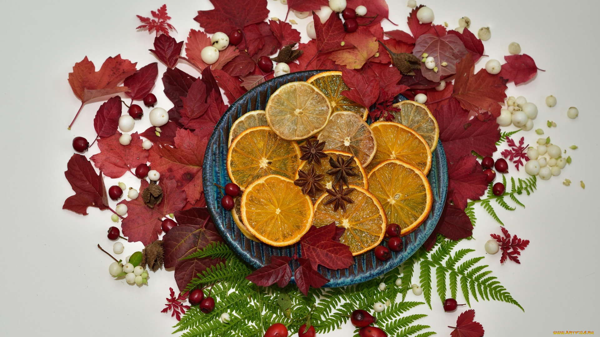 еда, цитрусы, снедь