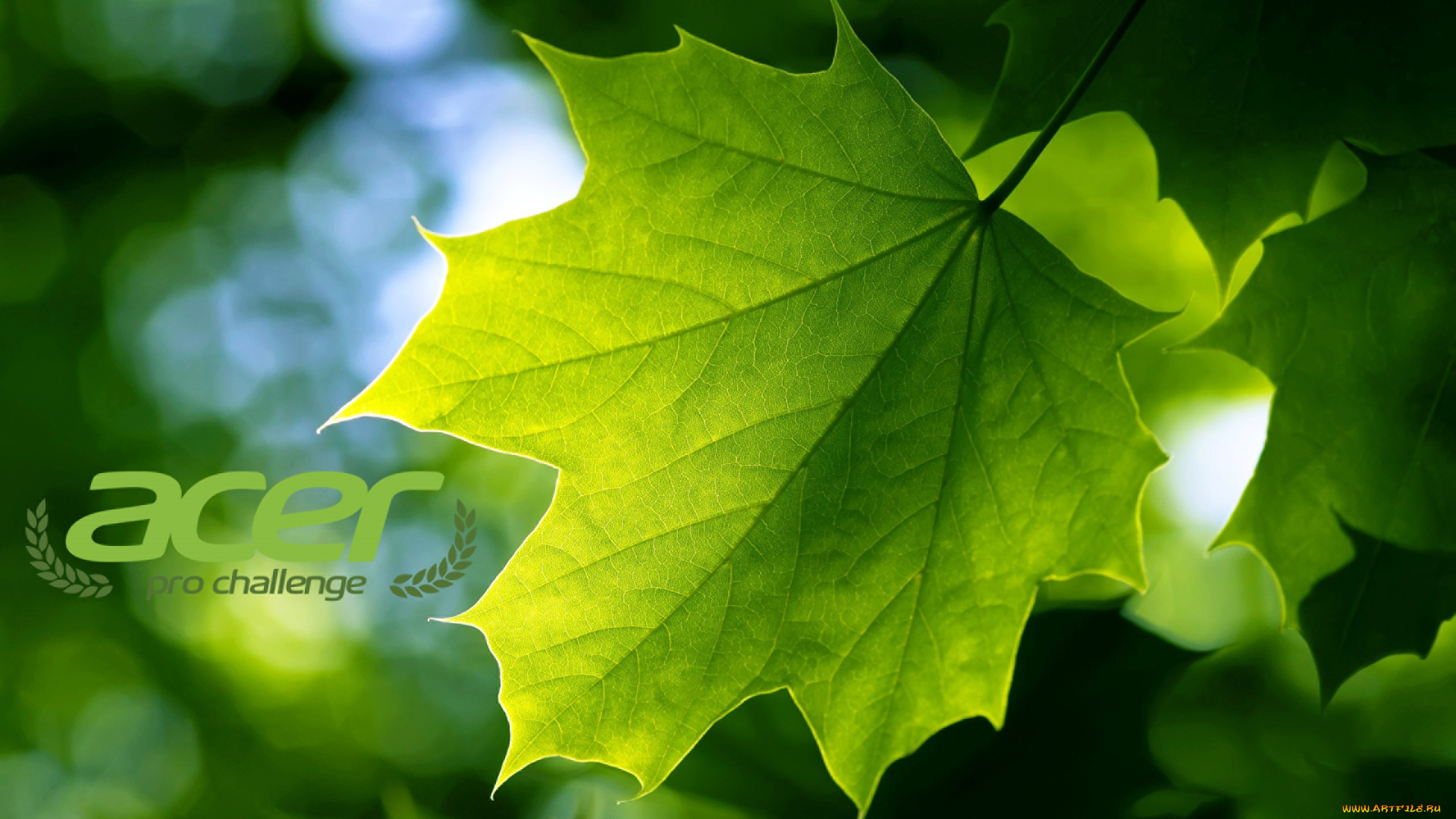 компьютеры, acer, логотип, фон